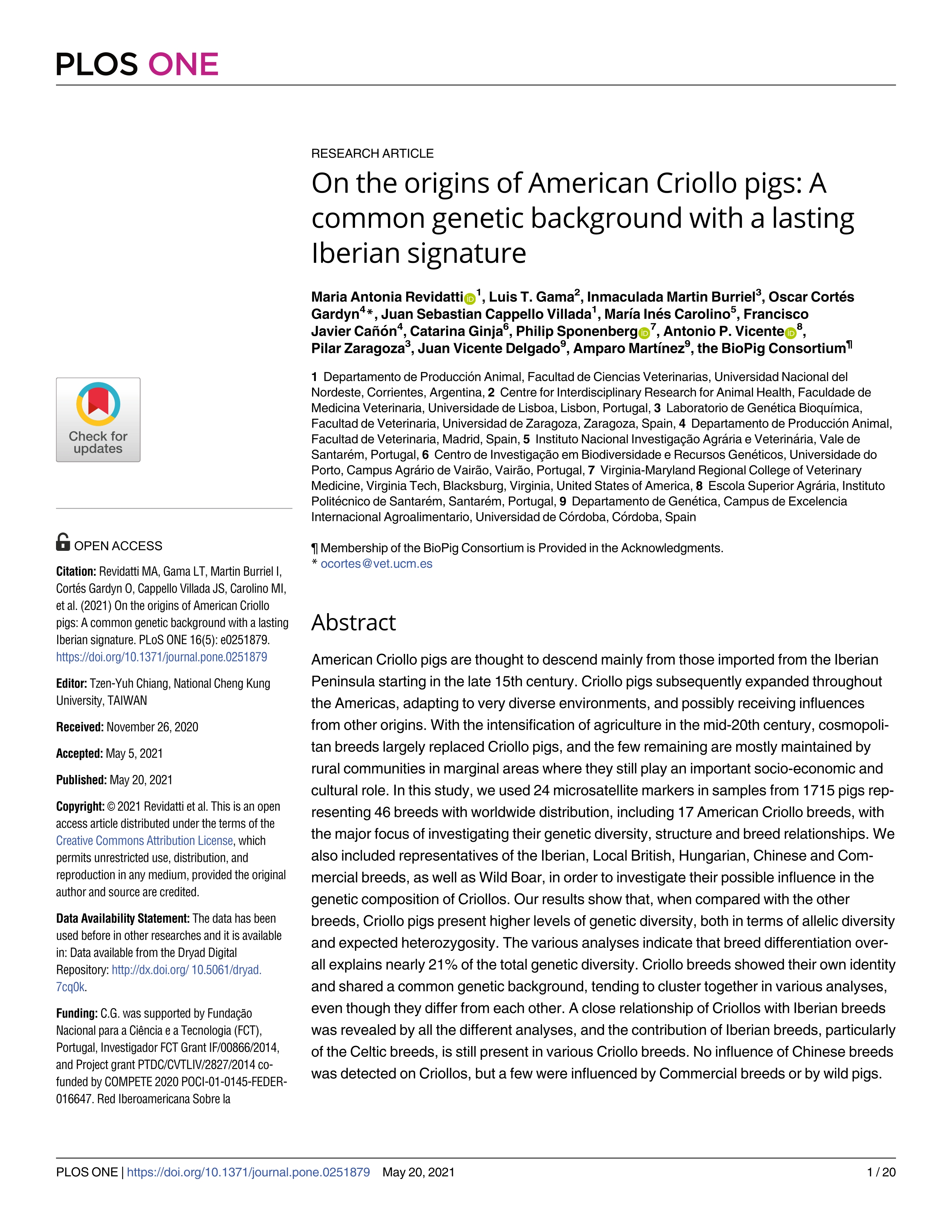 On the origins of American Criollo pigs: A common genetic background with a lasting Iberian signature