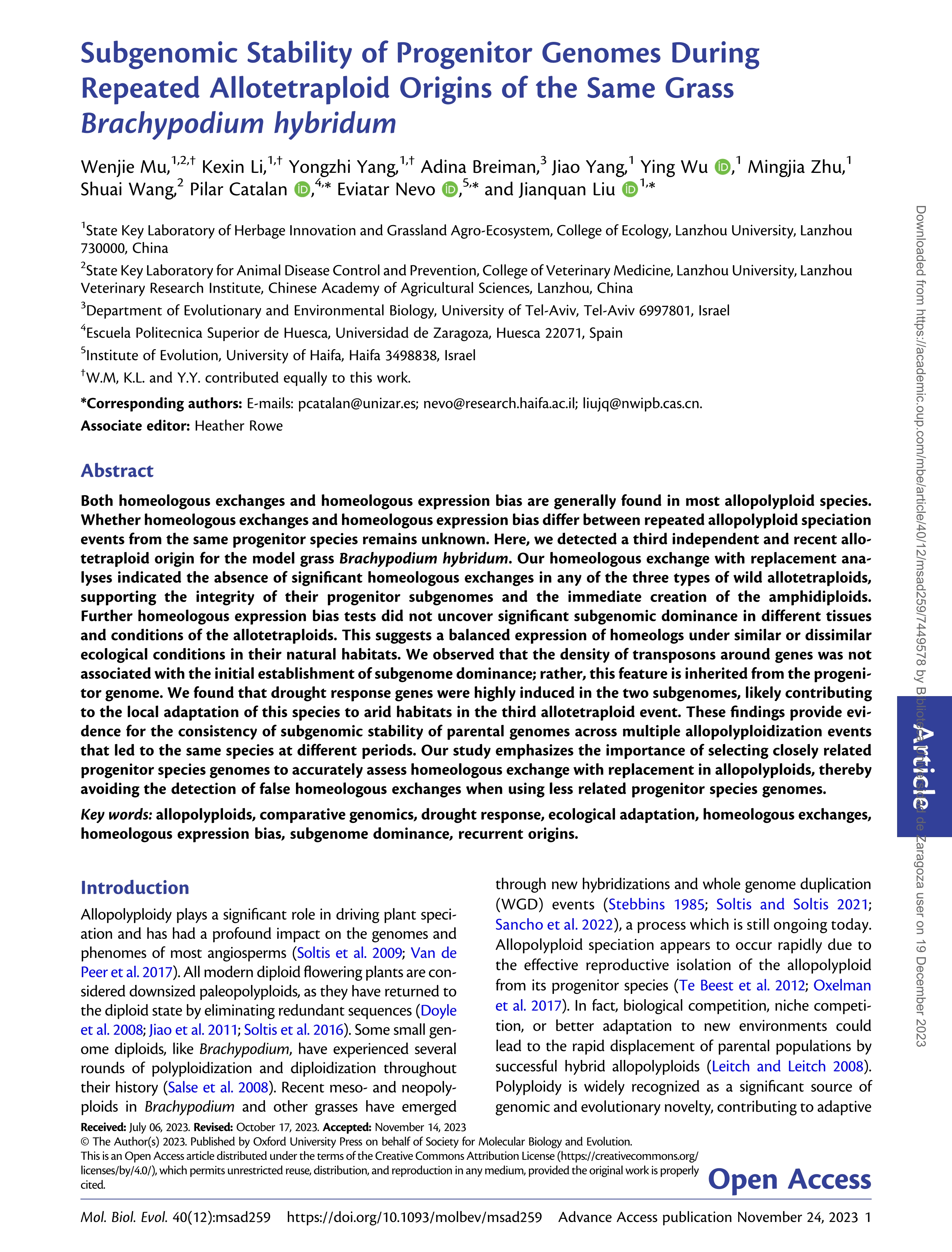 Subgenomic Stability of Progenitor Genomes During Repeated Allotetraploid Origins of the Same Grass Brachypodium hybridum