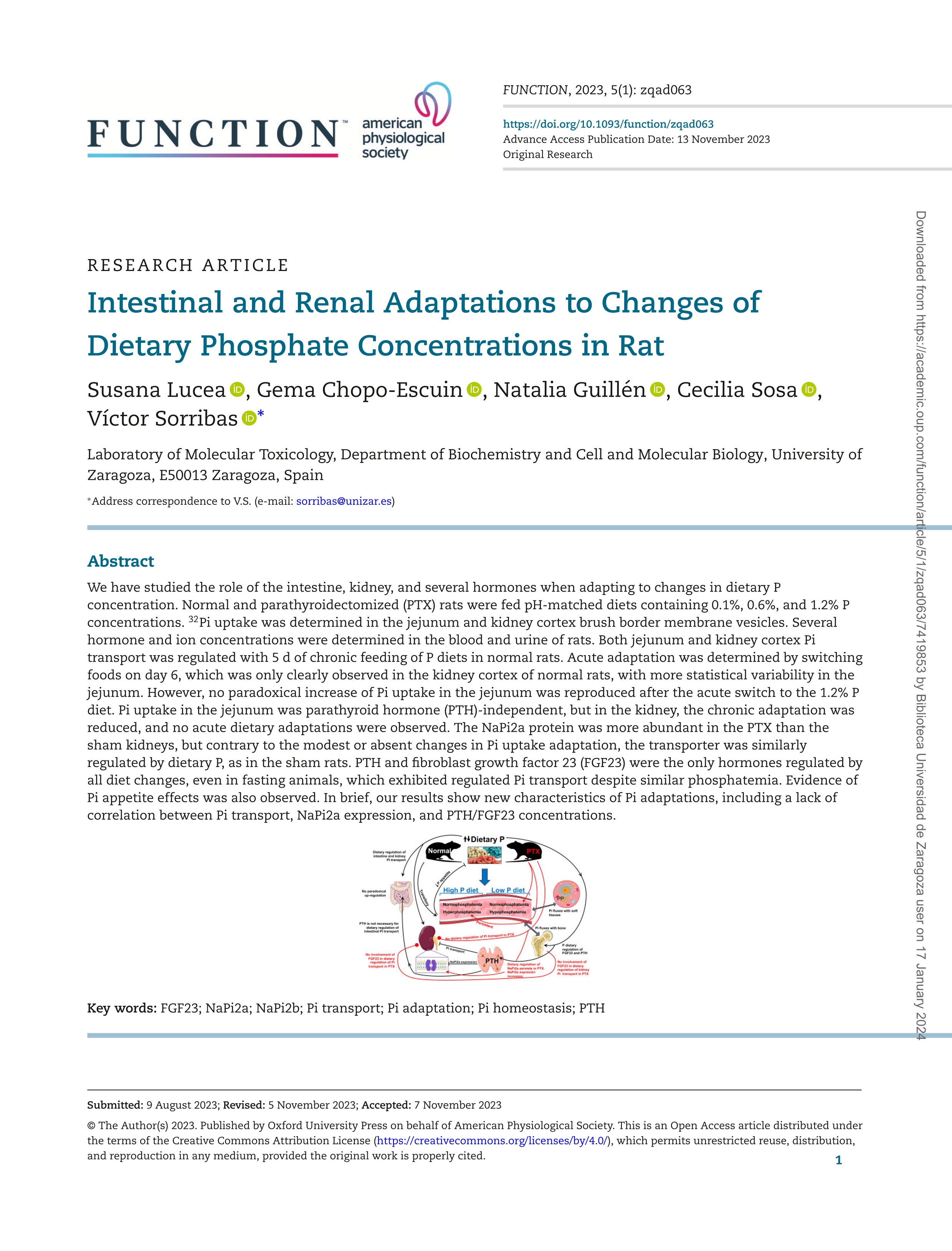 Intestinal and renal adaptations to changes of dietary phosphate concentrations in rat