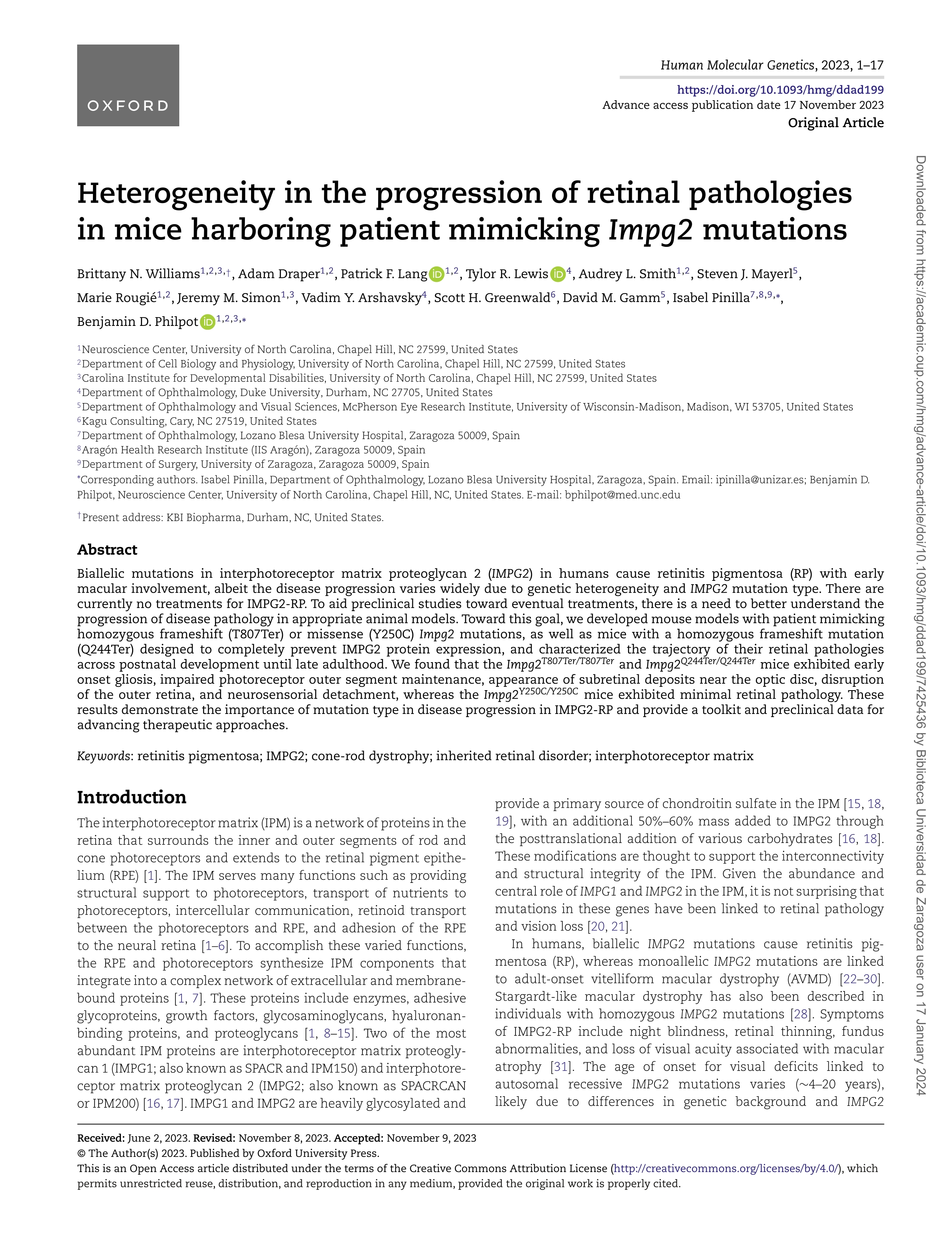 Heterogeneity in the progression of retinal pathologies in mice harboring patient mimicking Impg2 mutations
