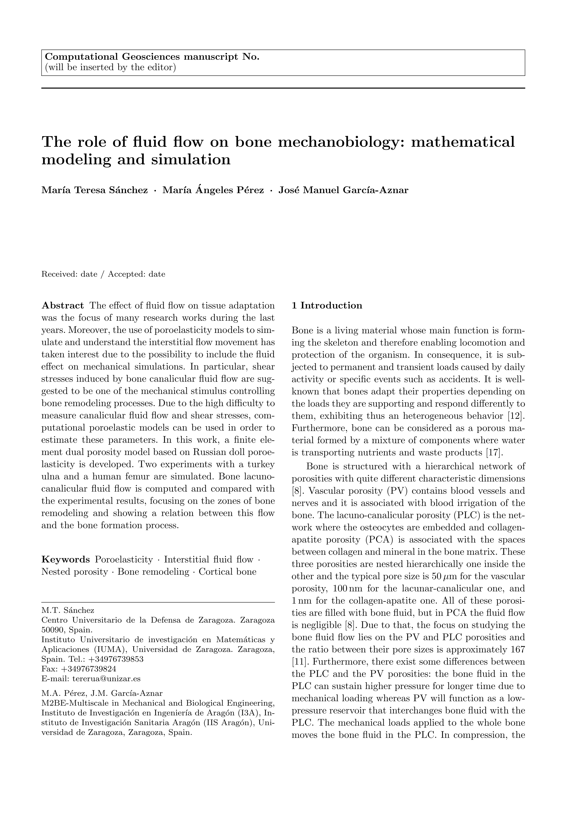 The role of fluid flow on bone mechanobiology: mathematical modeling and simulation