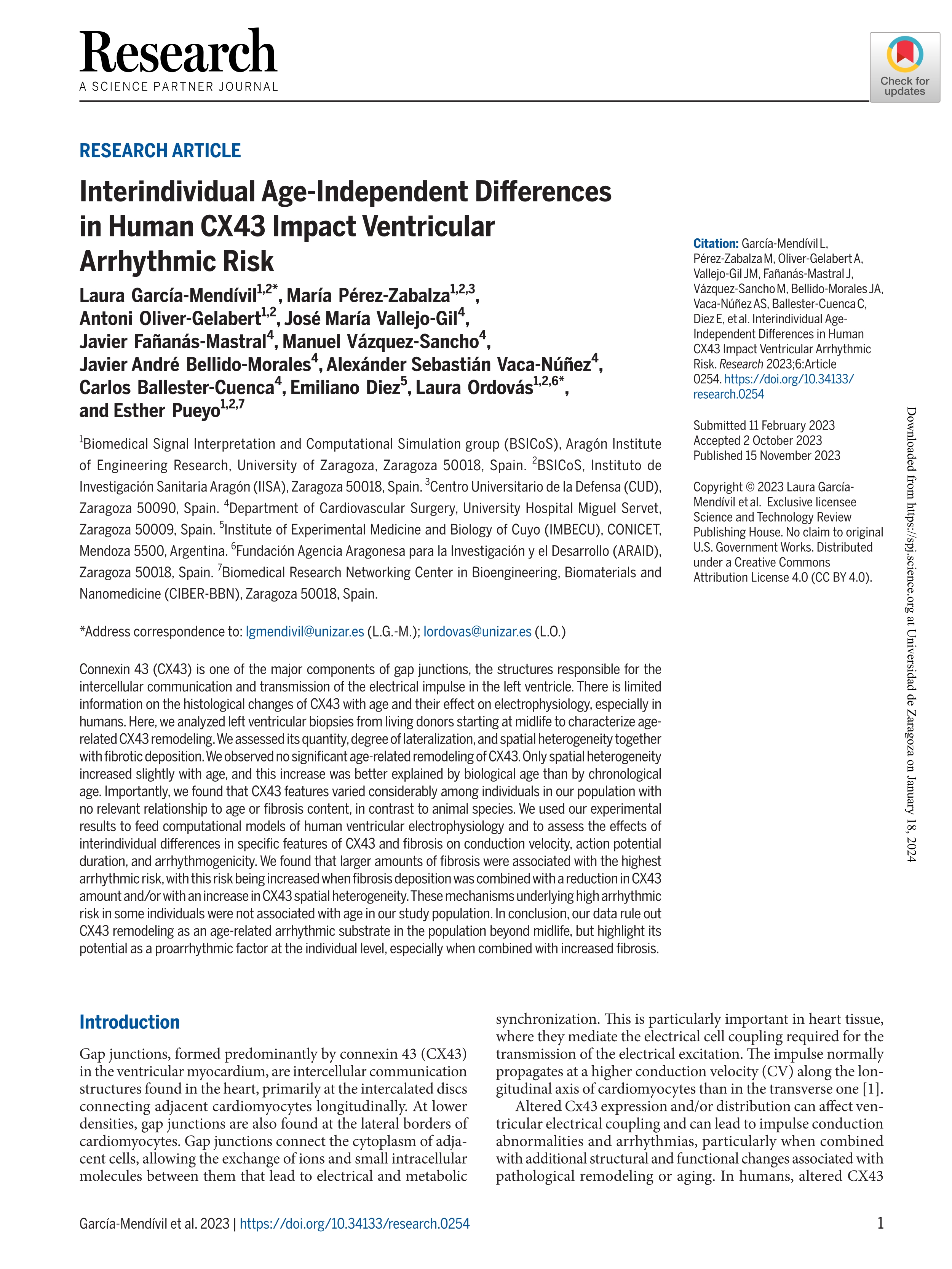 Interindividual Age-Independent Differences in Human CX43 Impact Ventricular Arrhythmic Risk