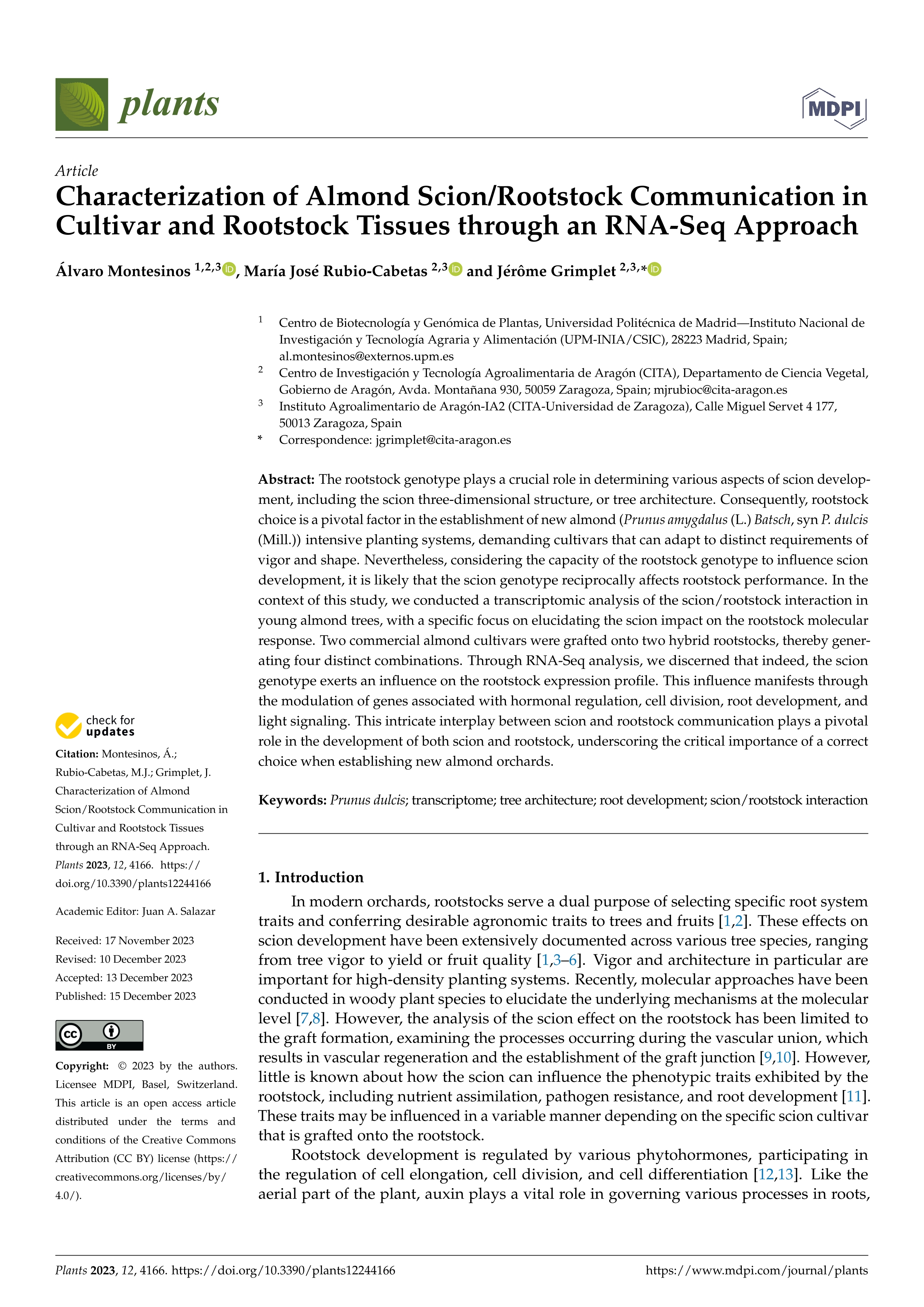 Characterization of almond scion/rootstock communication in cultivar and rootstock tissues through an  RNA-Seq approach