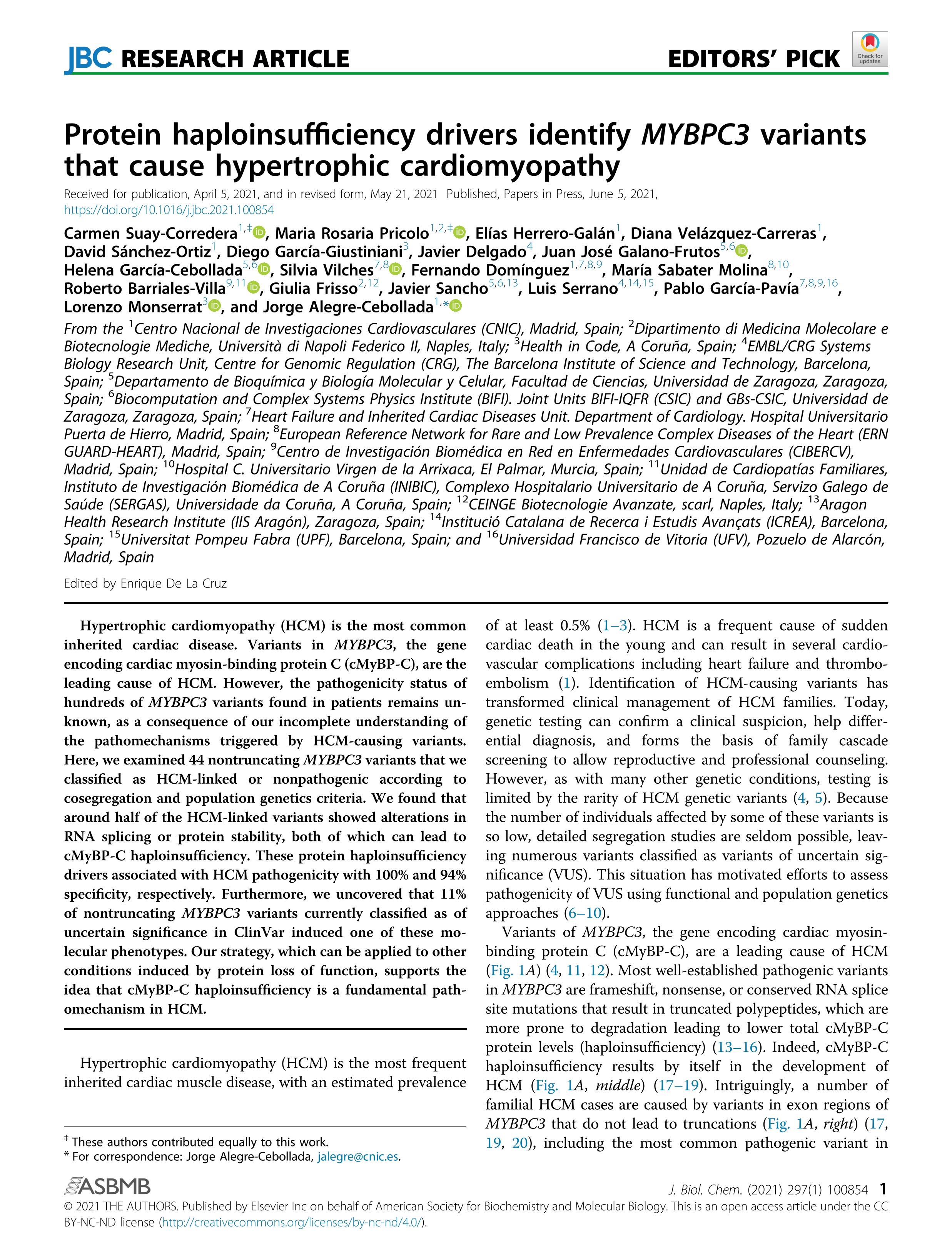 Protein haploinsufficiency drivers identify MYBPC3 variants that cause hypertrophic cardiomyopathy