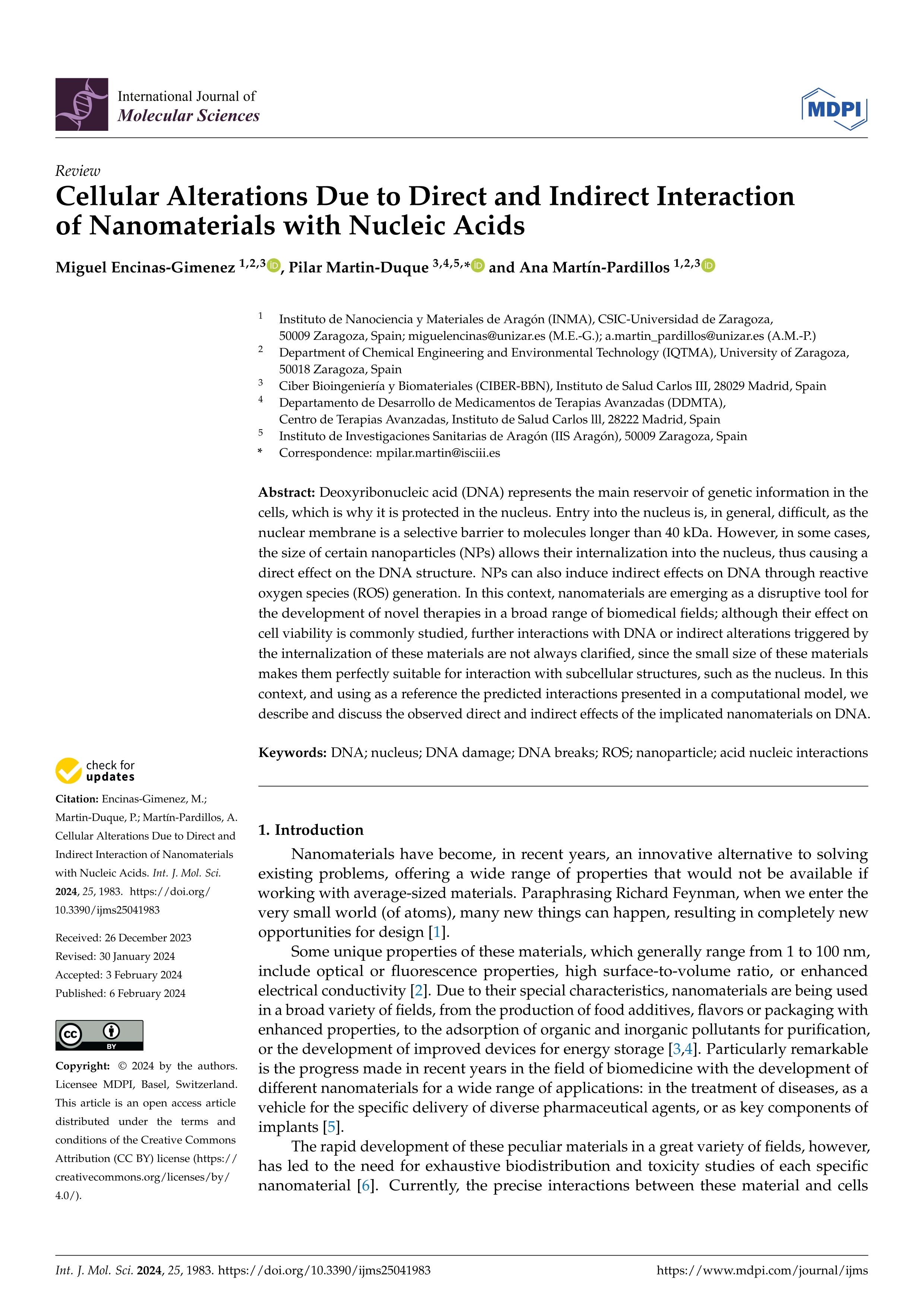 Cellular Alterations Due to Direct and Indirect Interaction of Nanomaterials with Nucleic Acids