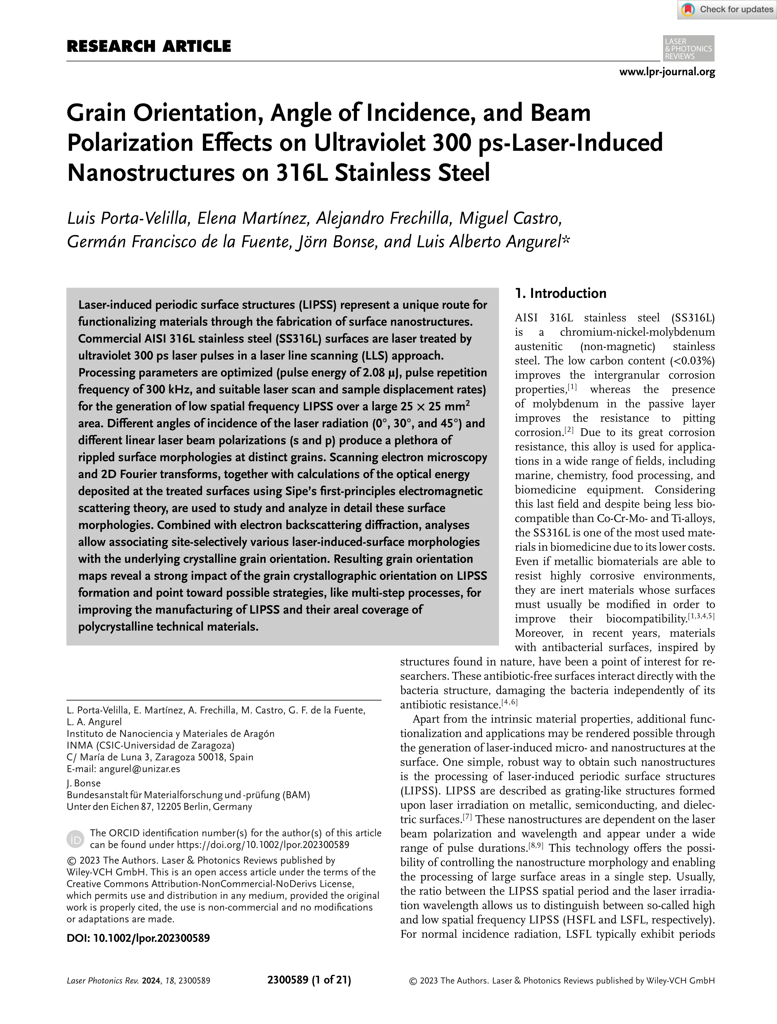 Grain Orientation, Angle of Incidence, and Beam Polarization Effects on Ultraviolet 300 ps-Laser-Induced Nanostructures on 316L Stainless Steel
