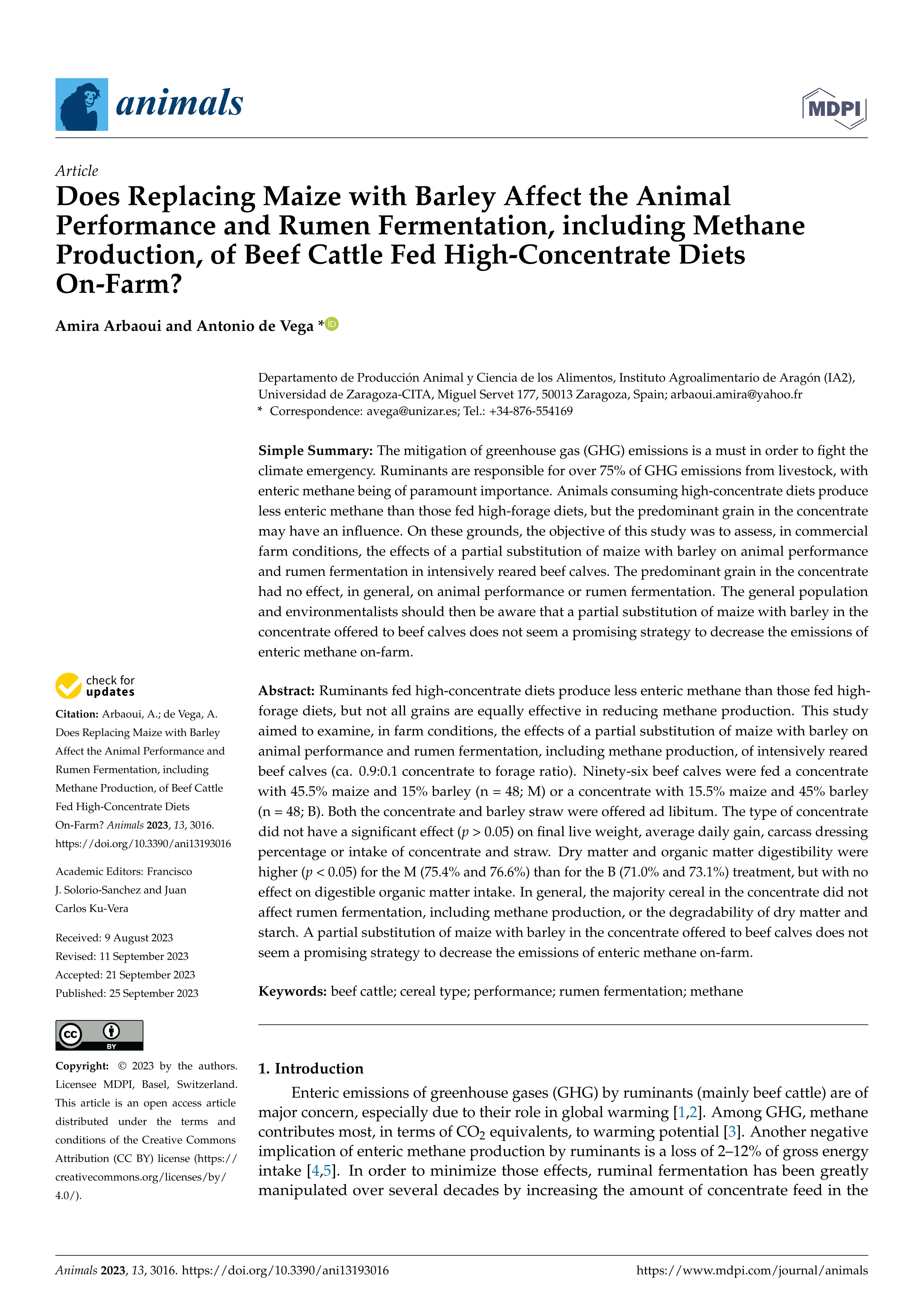 Does Replacing Maize with Barley Affect the Animal Performance and Rumen Fermentation, including Methane Production, of Beef Cattle Fed High-Concentrate Diets On-Farm?