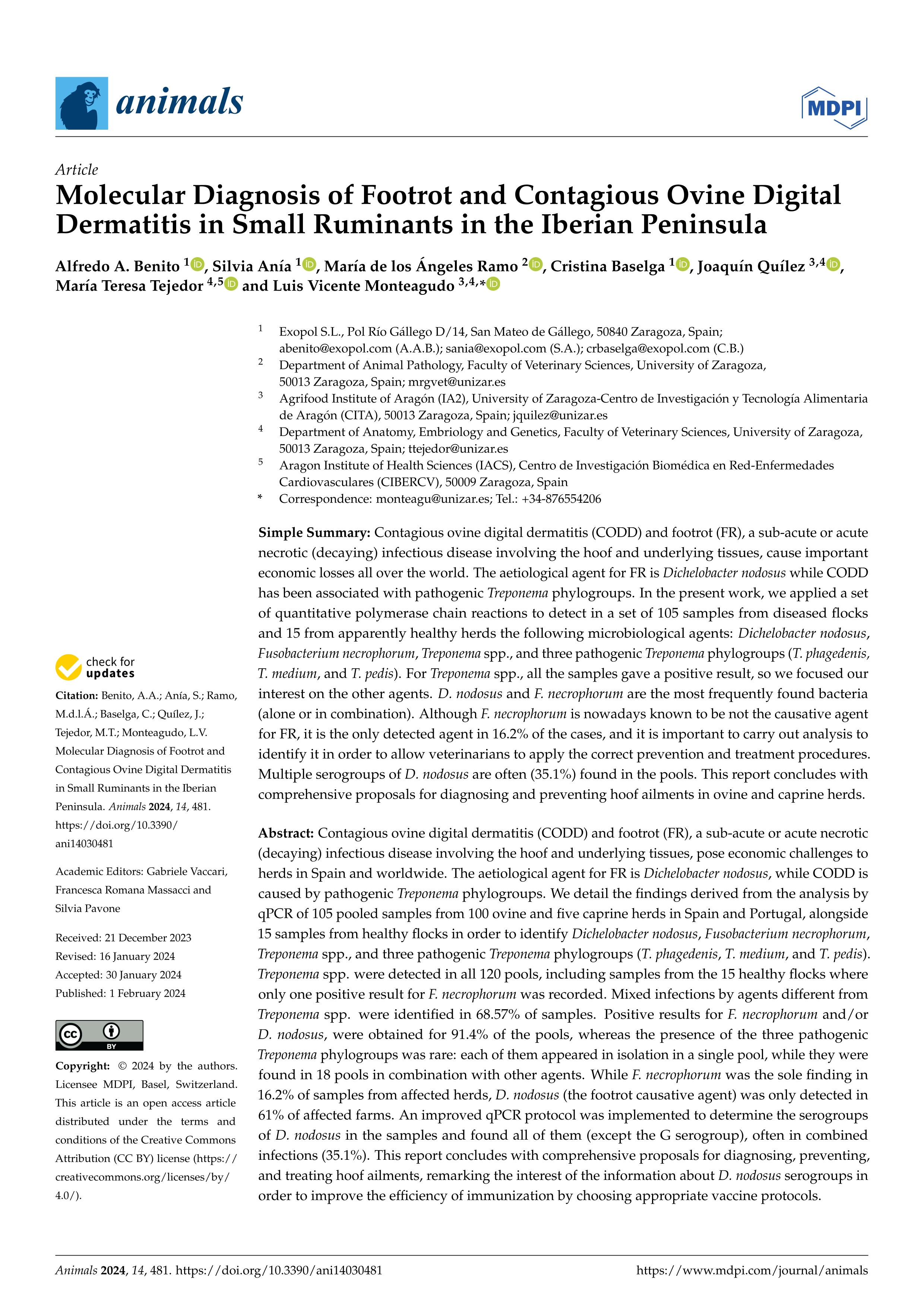 Molecular diagnosis of footrot and contagious ovine digital dermatitis in small ruminants in the Iberian Peninsula