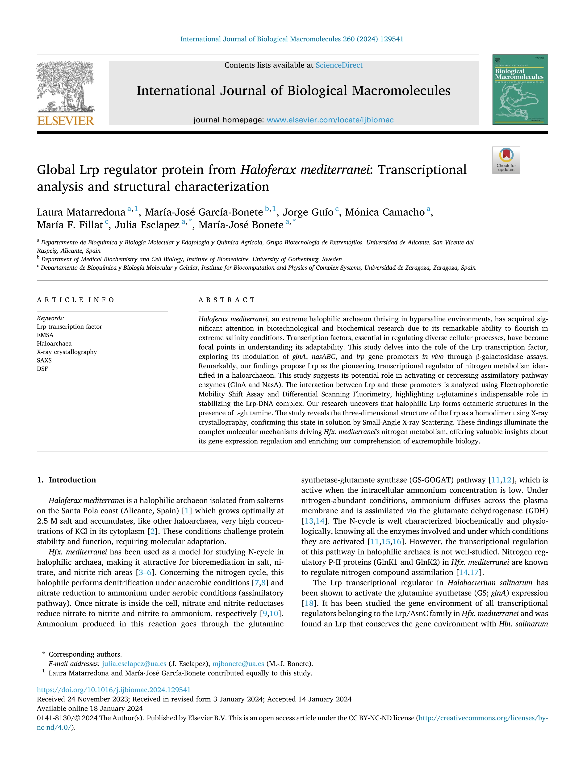 Global Lrp regulator protein from Haloferax mediterranei: Transcriptional analysis and structural characterization