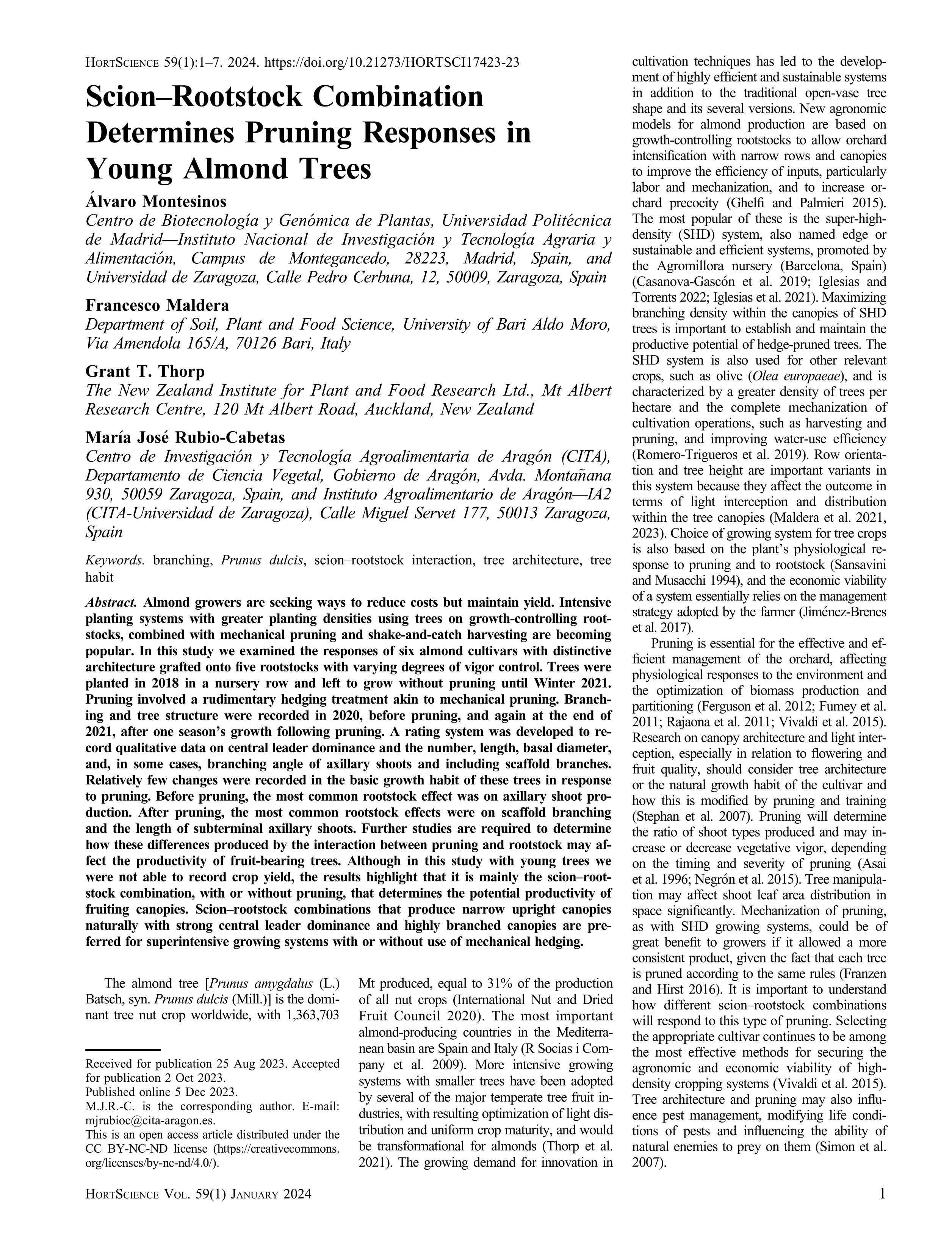 Scion–rootstock combination determines pruning responses in young almond trees