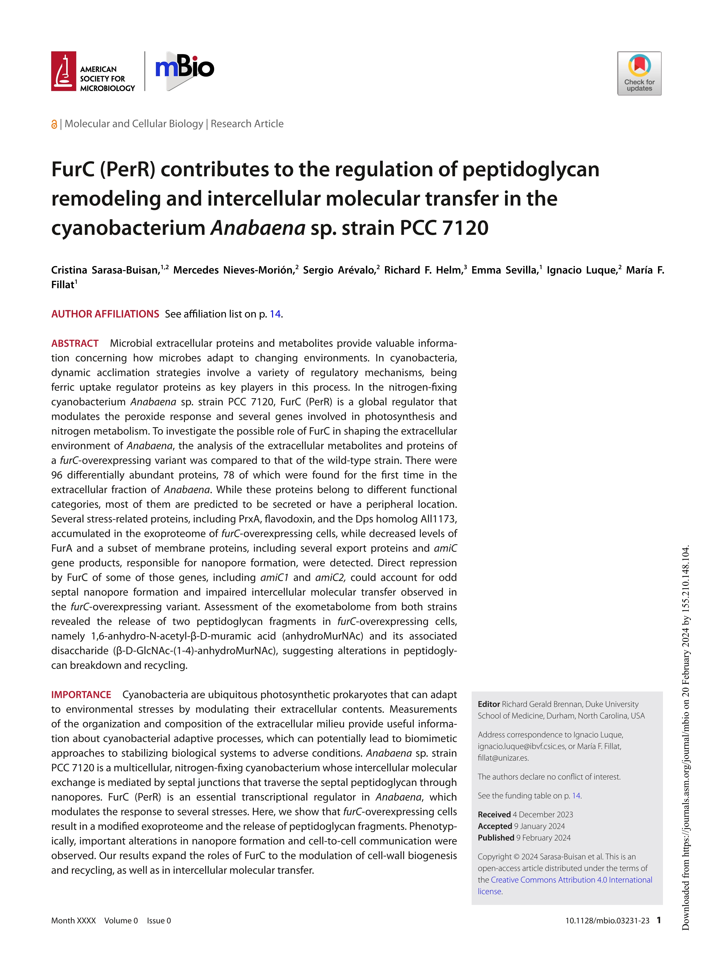 FurC (PerR) contributes to the regulation of peptidoglycan remodeling and intercellular molecular transfer in the cyanobacterium Anabaena sp. strain PCC 7120