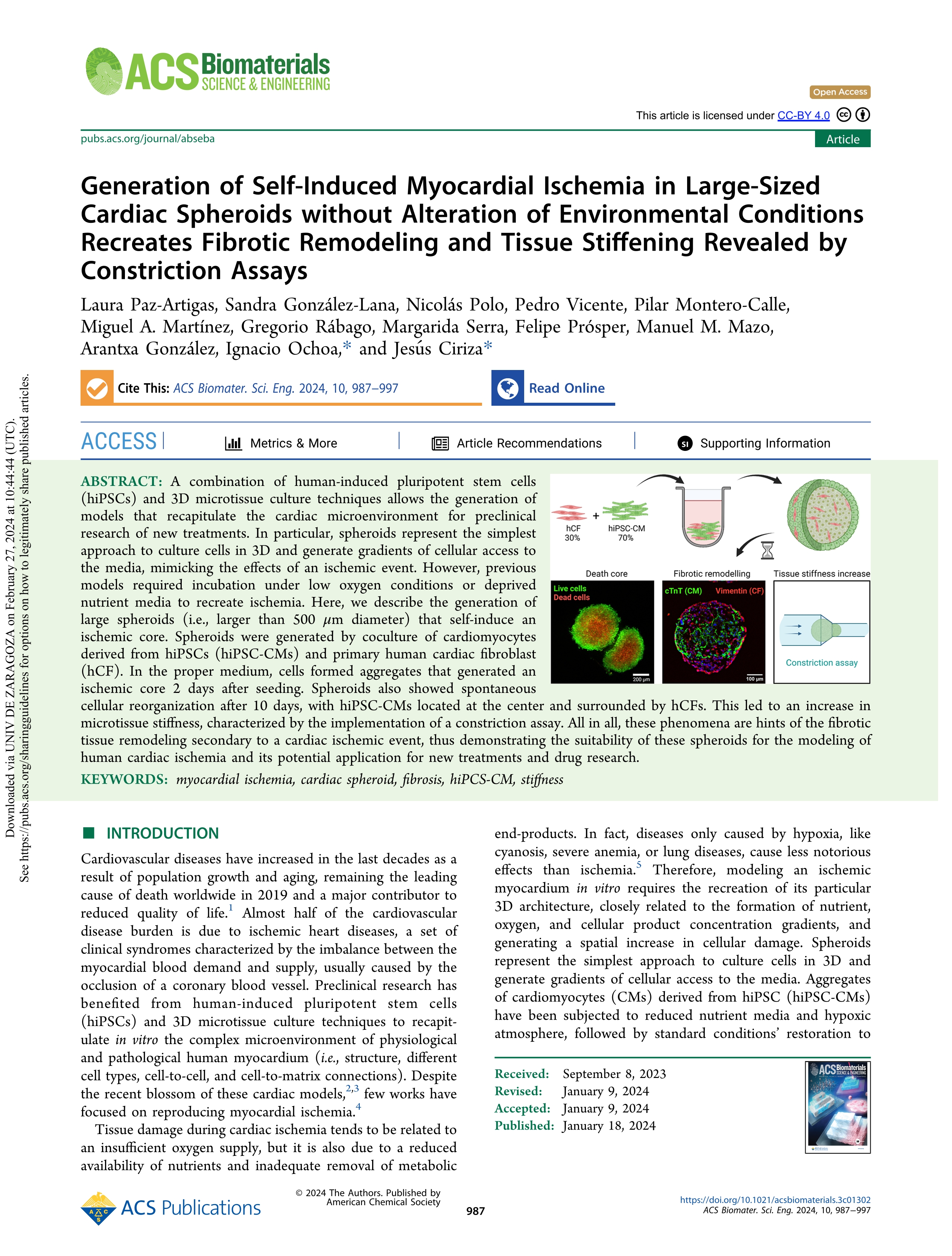 Generation of Self-Induced Myocardial Ischemia in Large-Sized Cardiac Spheroids without Alteration of Environmental Conditions Recreates Fibrotic Remodeling and Tissue Stiffening Revealed by Constriction Assays