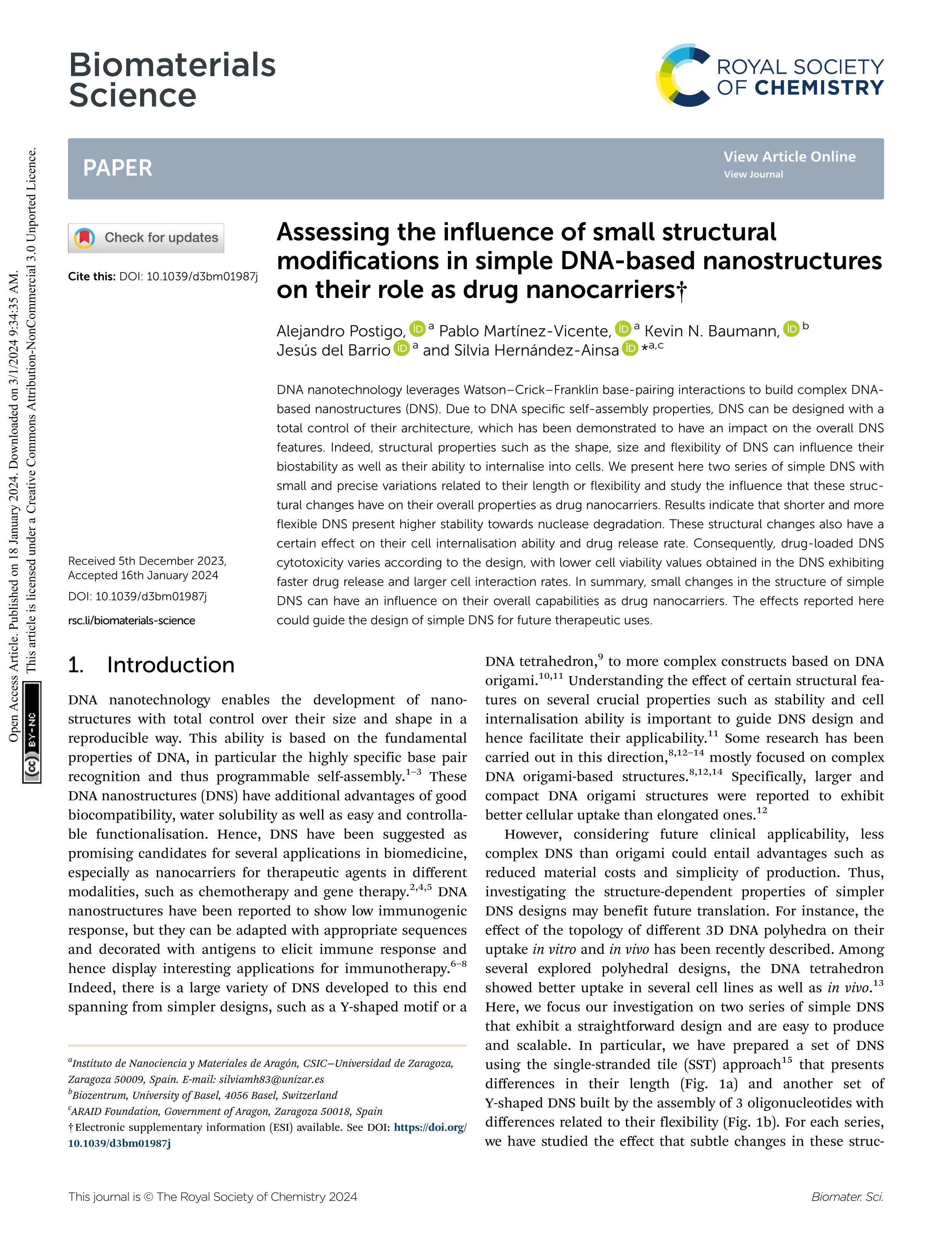 Assessing the influence of small structural modifications in simple DNA-based nanostructures on their role as drug nanocarriers