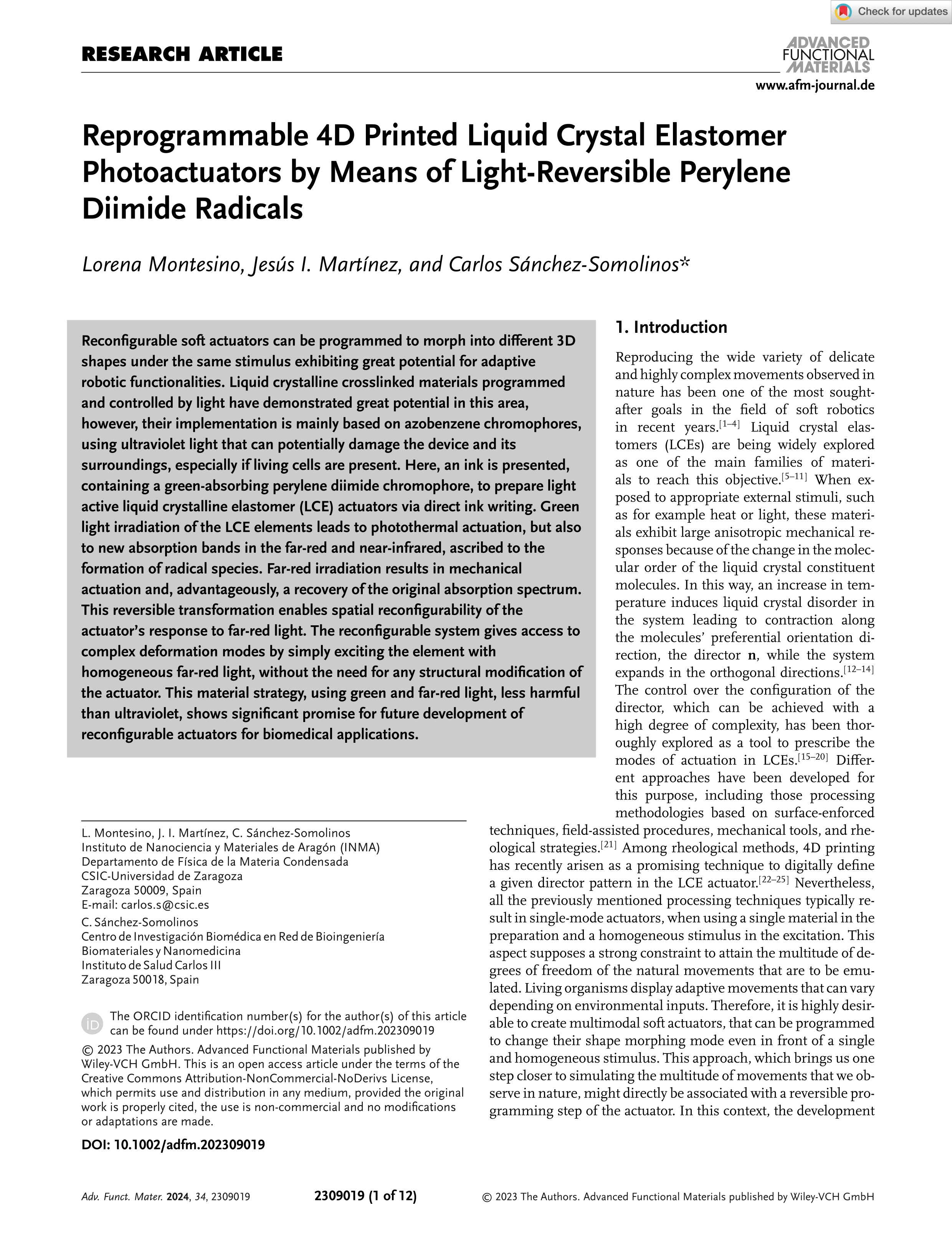 Reprogrammable 4D printed liquid crystal elastomer photoactuators by means of light-reversible perylene diimide radicals