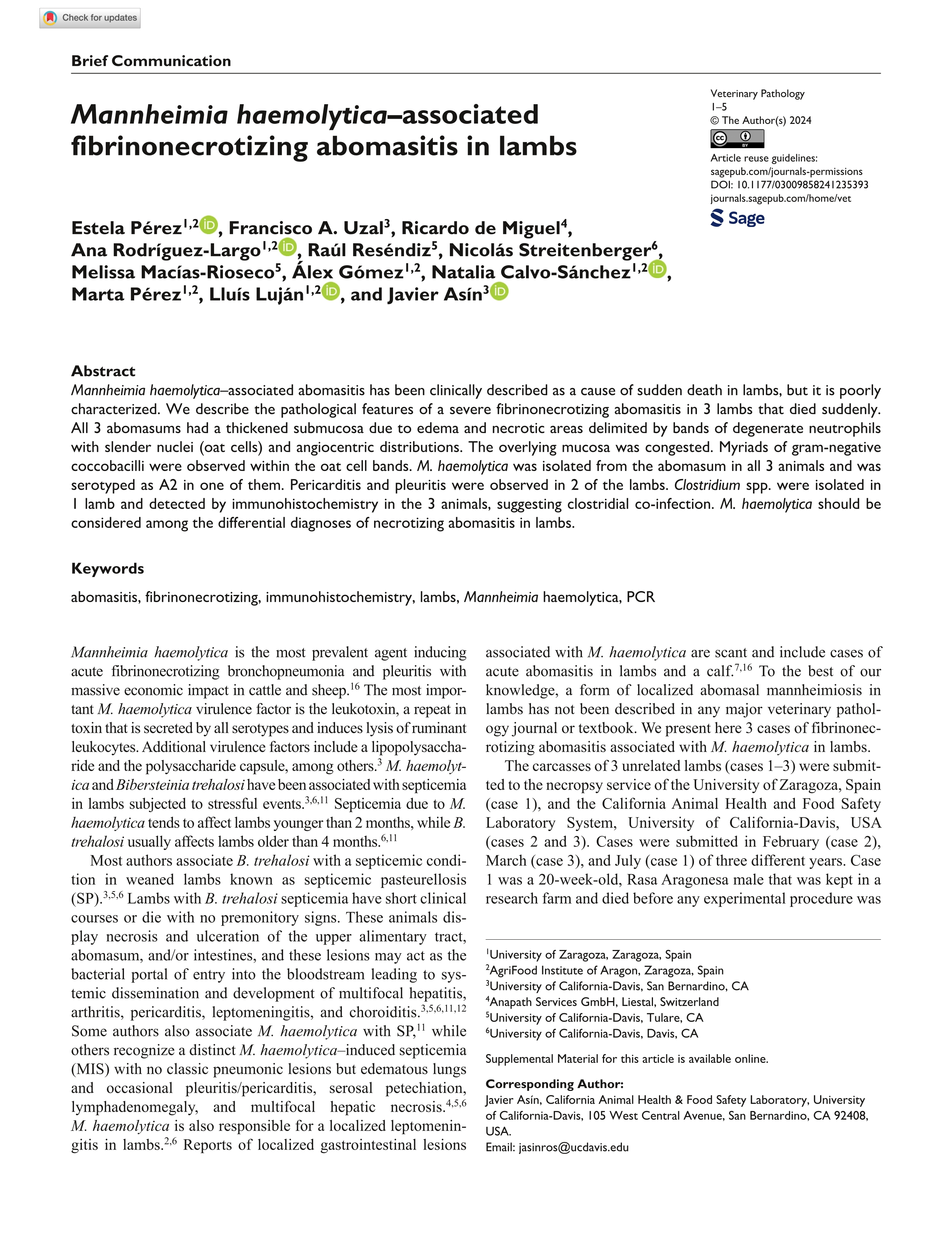 Mannheimia haemolytica associated fibrinonecrotizing abomasitis in lambs