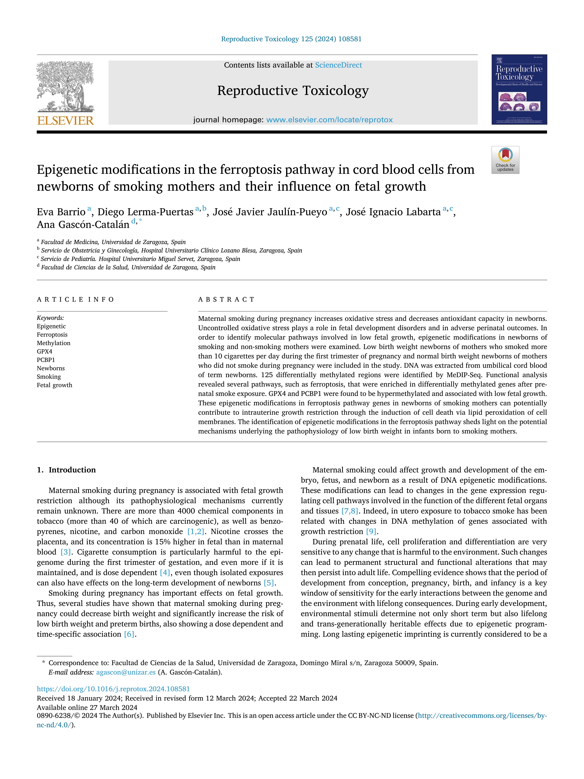 Epigenetic modifications in the ferroptosis pathway in cord blood cells from newborns of smoking mothers and their influence on fetal growth