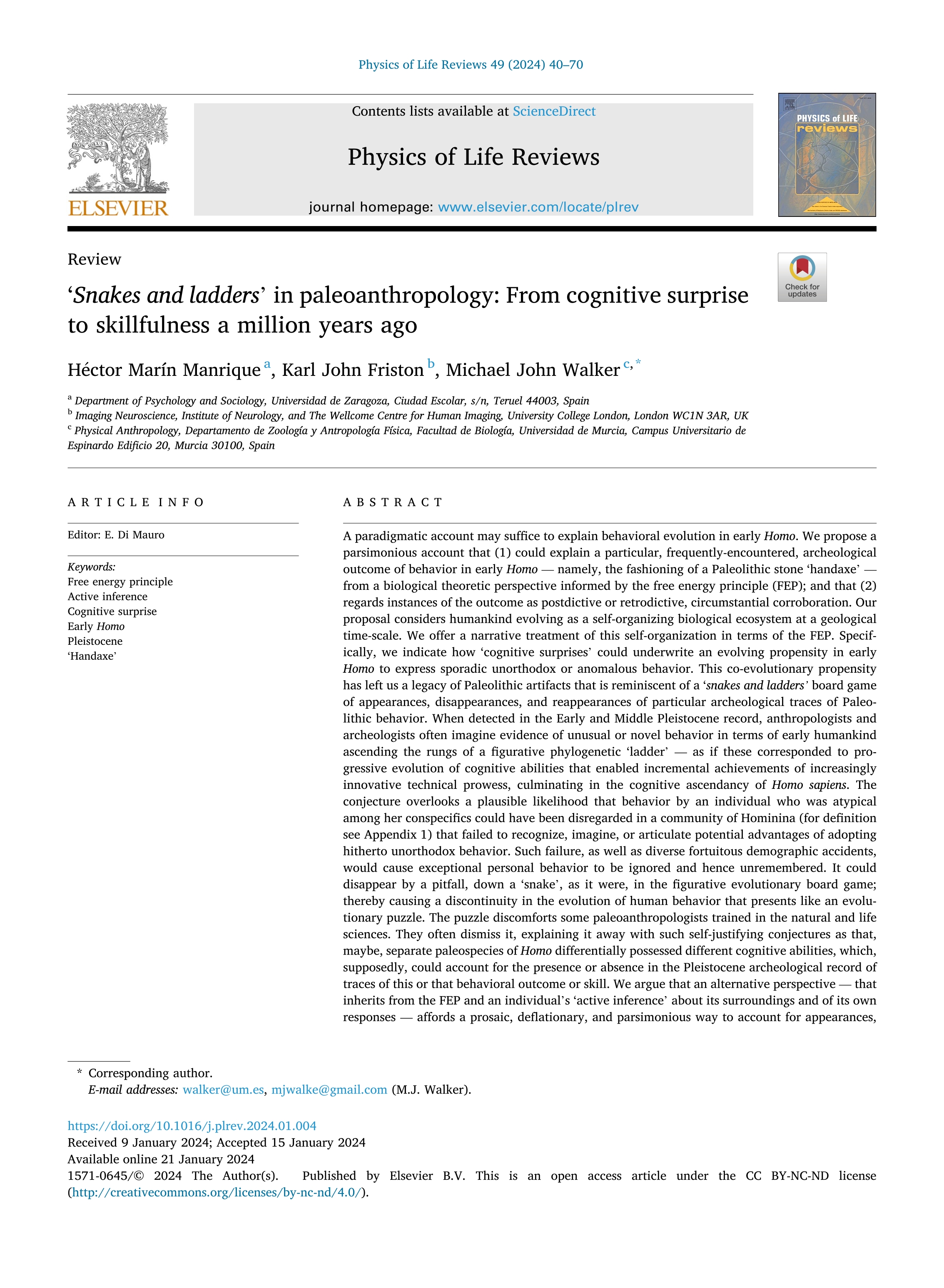 'Snakes and ladders' in paleoanthropology: From cognitive surprise to skillfulness a million years ago