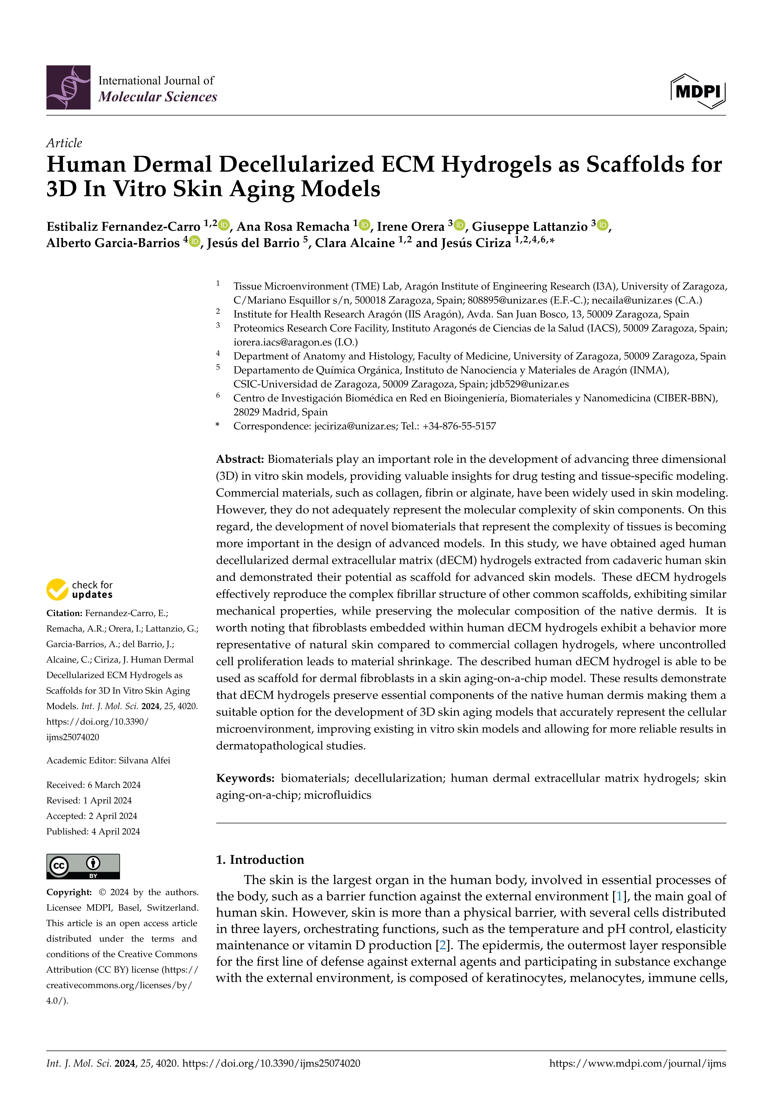 Human Dermal Decellularized ECM Hydrogels as Scaffolds for 3D In Vitro Skin Aging Models