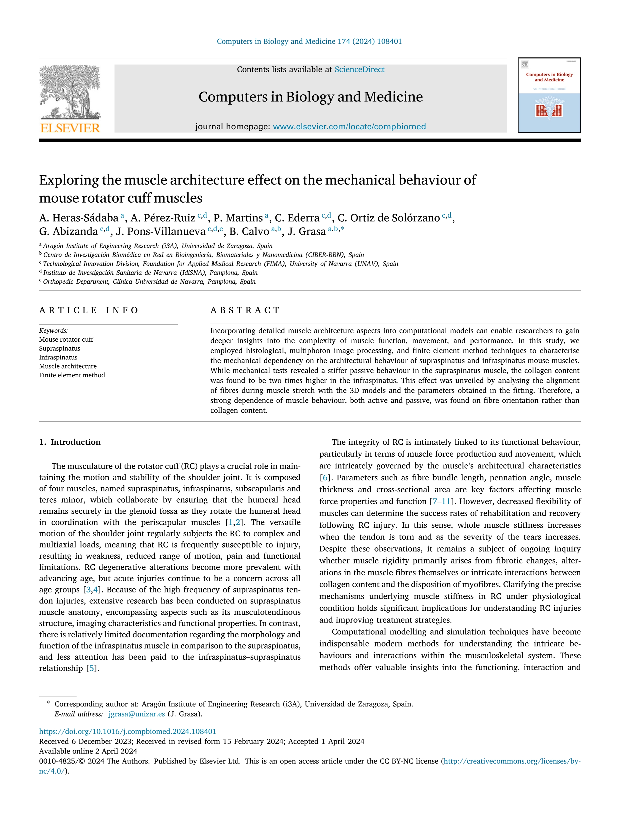 Exploring the muscle architecture effect on the mechanical behaviour of mouse rotator cuff muscles