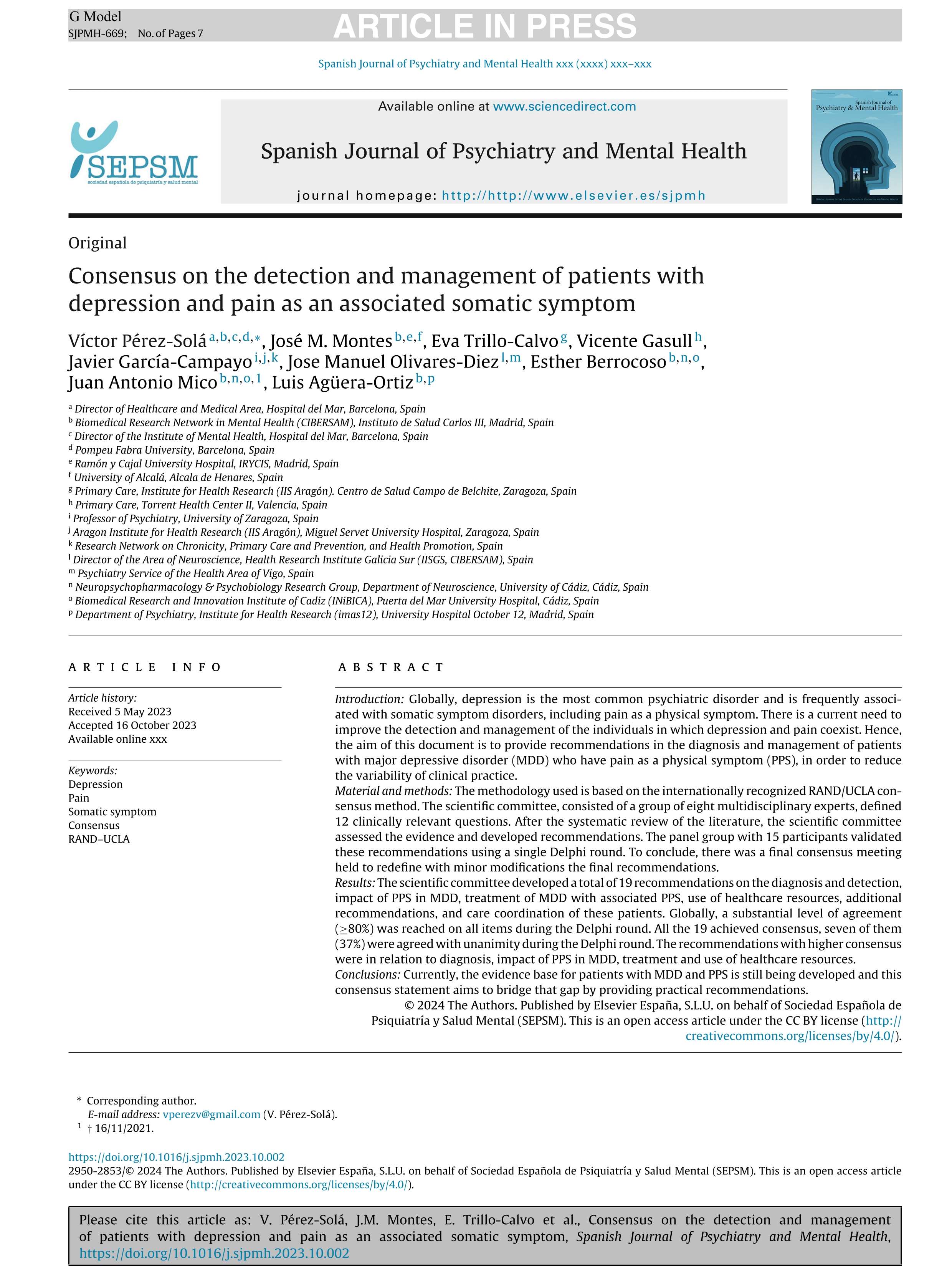 Consensus on the detection and management of patients with depression and pain as an associated somatic symptom