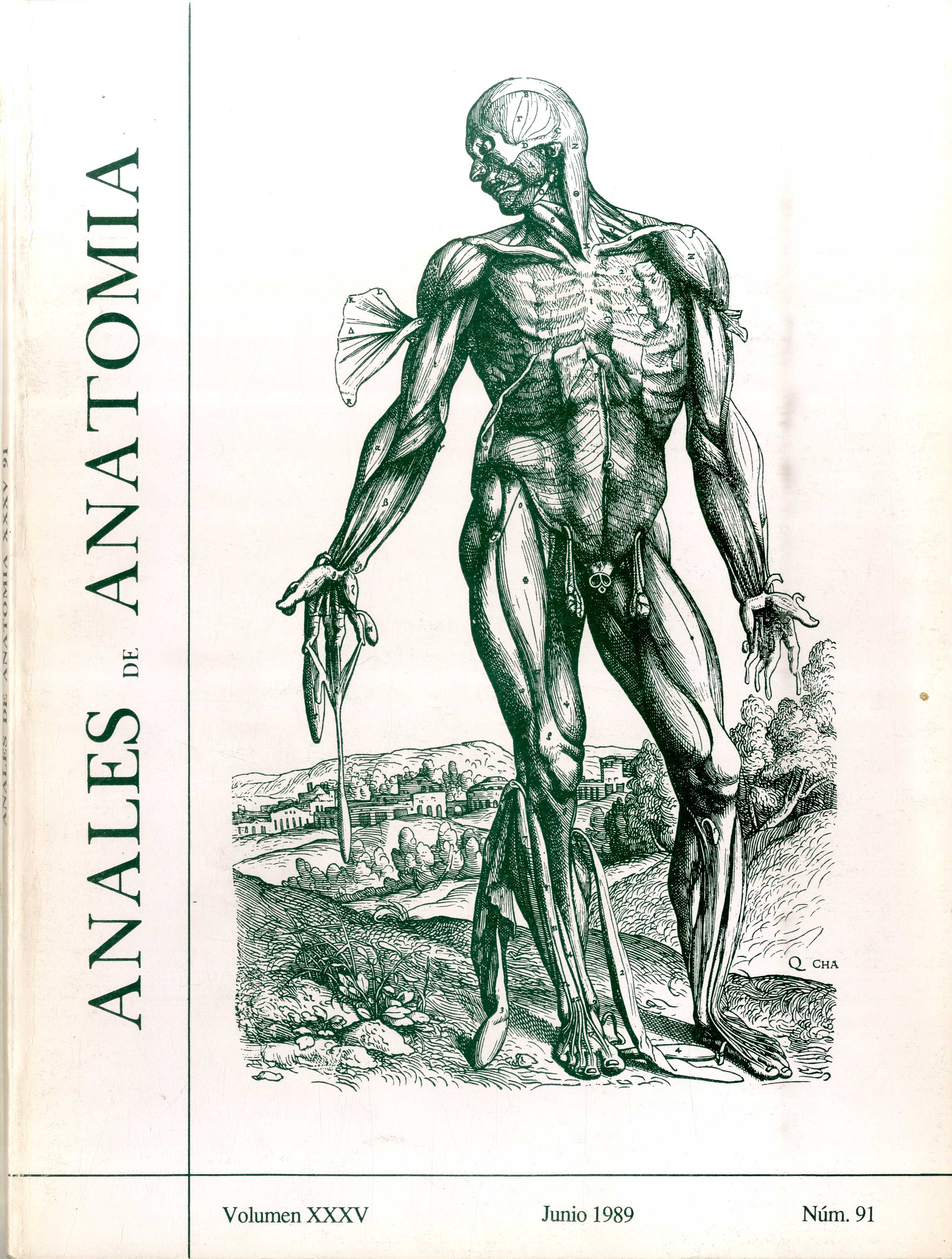 Anales de Anatomía, v. 35, n. 91 (1989)