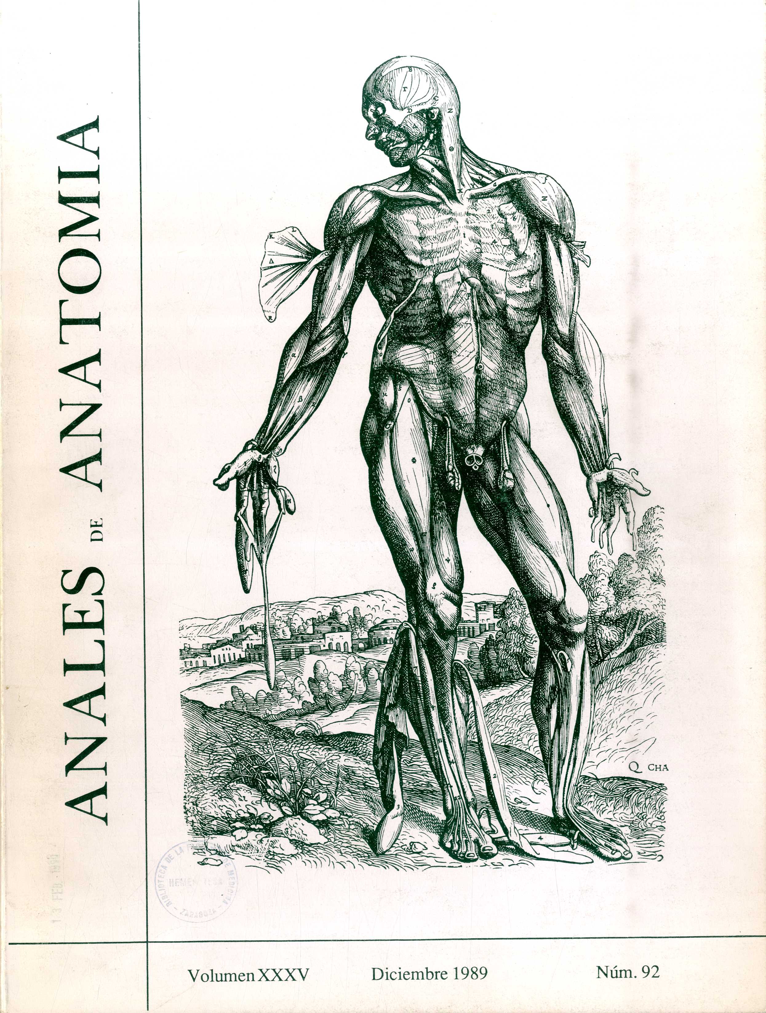 Anales de Anatomía, v. 35, n. 92 (1989)
