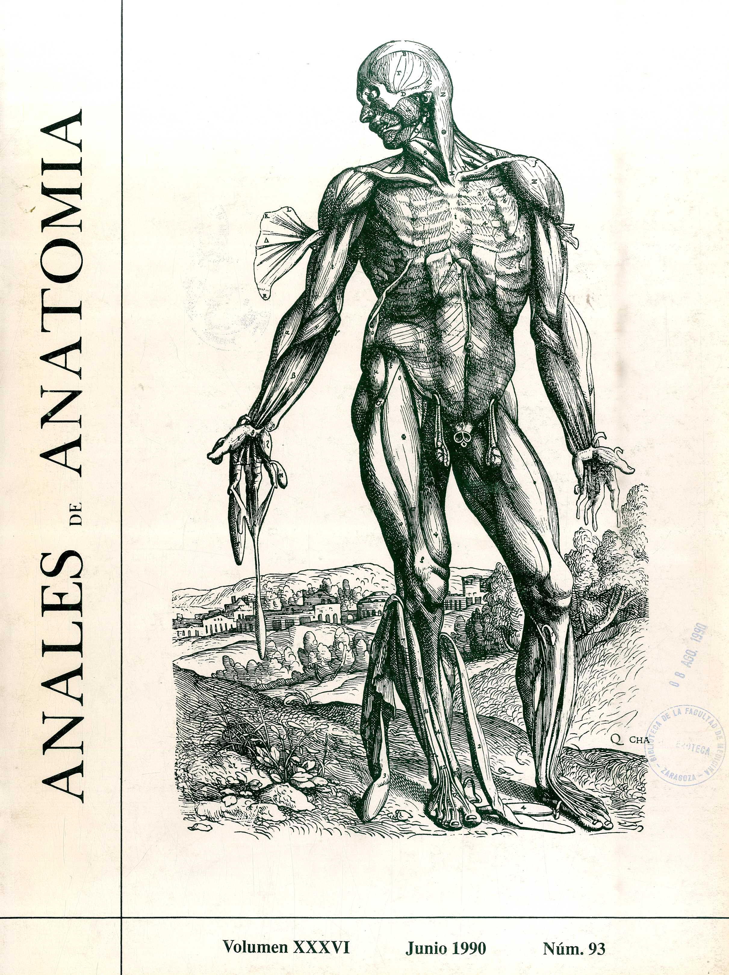 Anales de Anatomía, v. 36, n. 93 (1990)