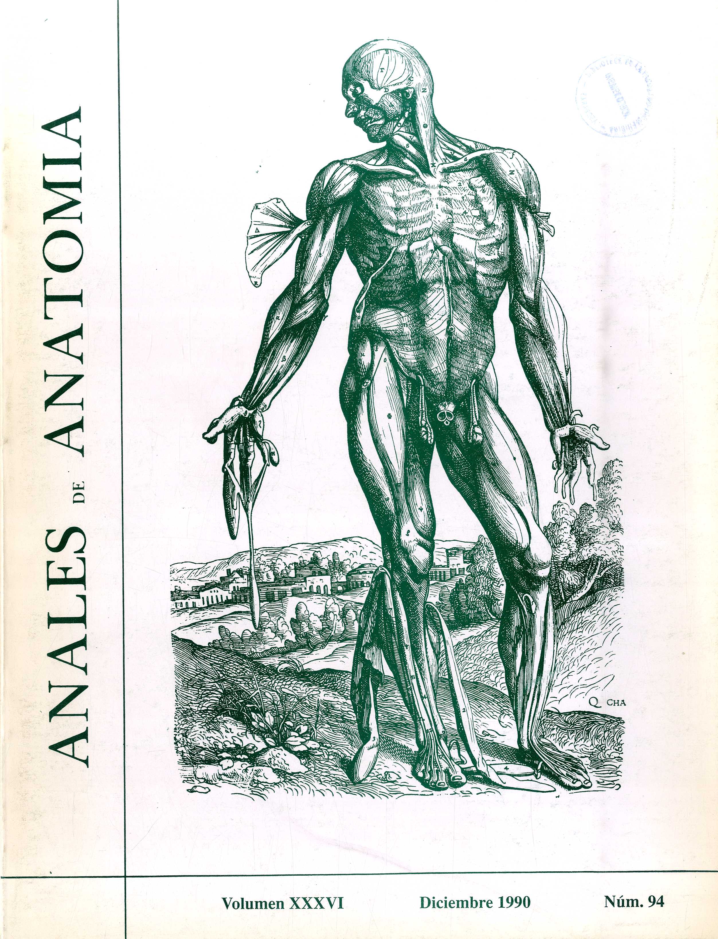 Anales de Anatomía, v. 36, n. 94 (1990)