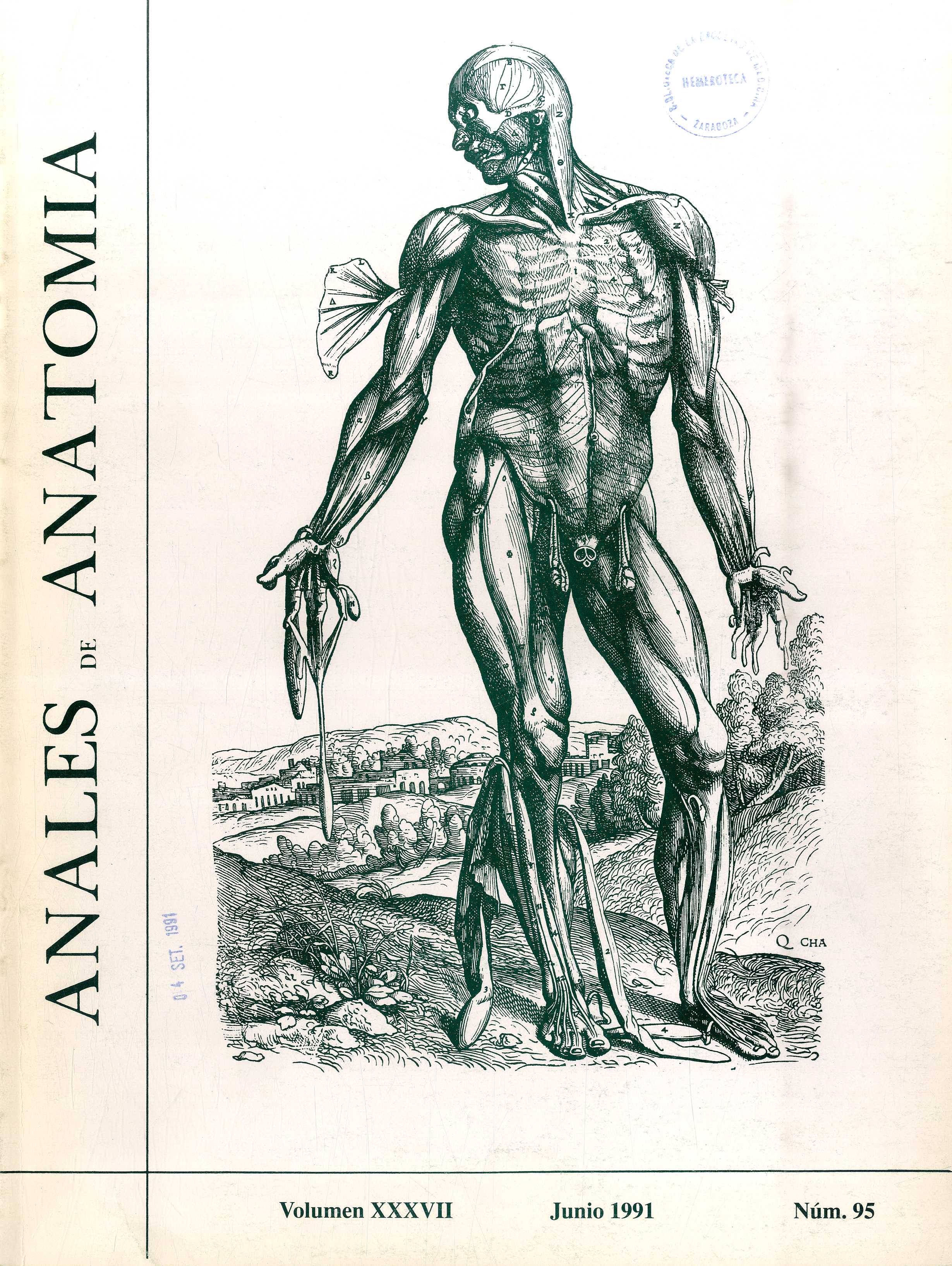 Anales de Anatomía, v. 37, n. 95 (1991)