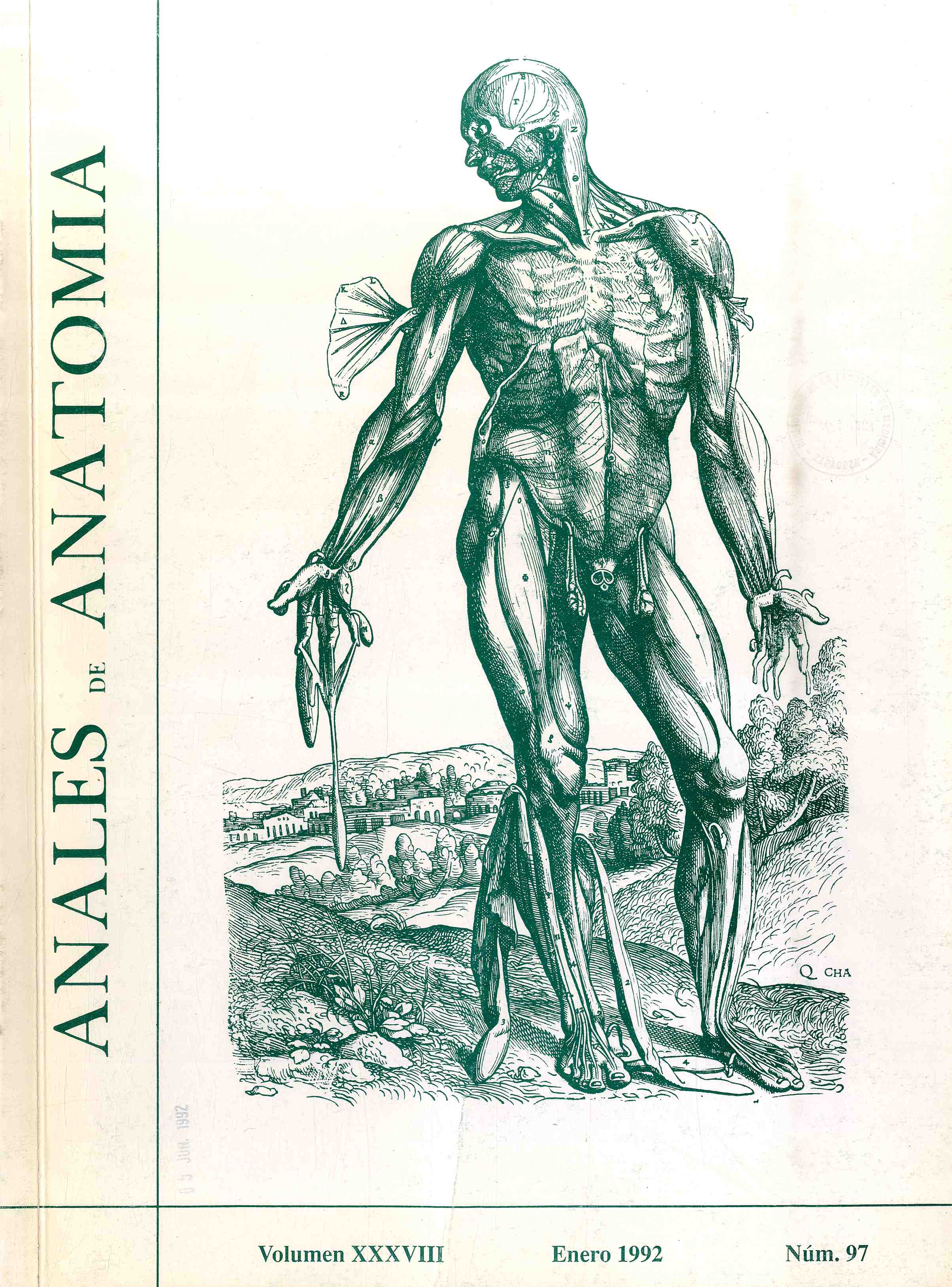Anales de Anatomía, v. 38, n. 97 (1992)