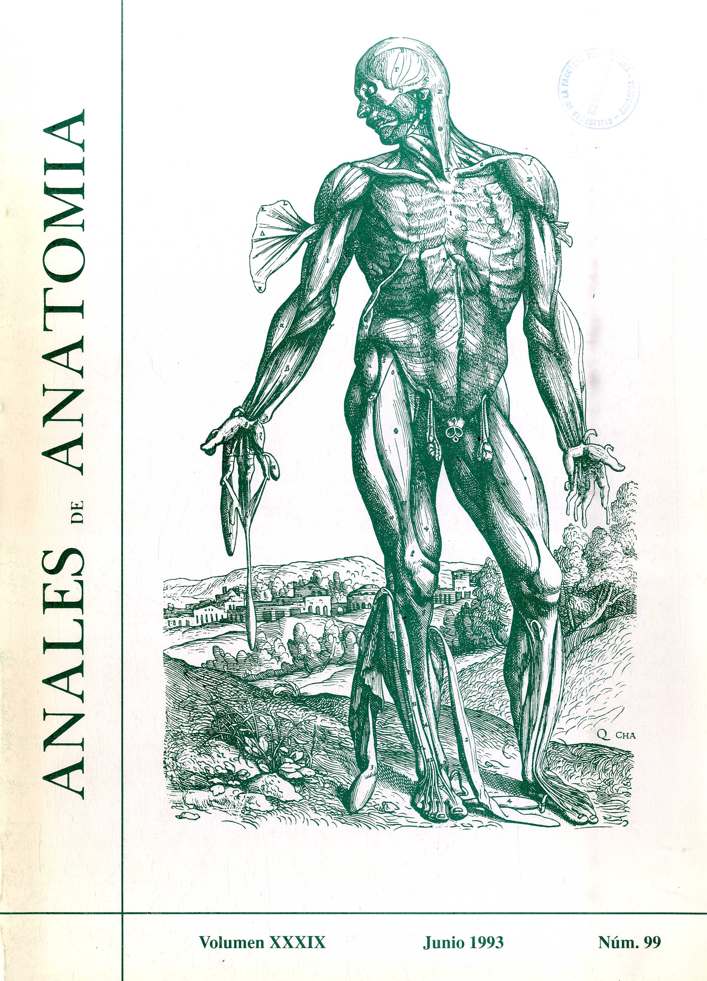 Anales de Anatomía, v. 39, n. 99 (1993)
