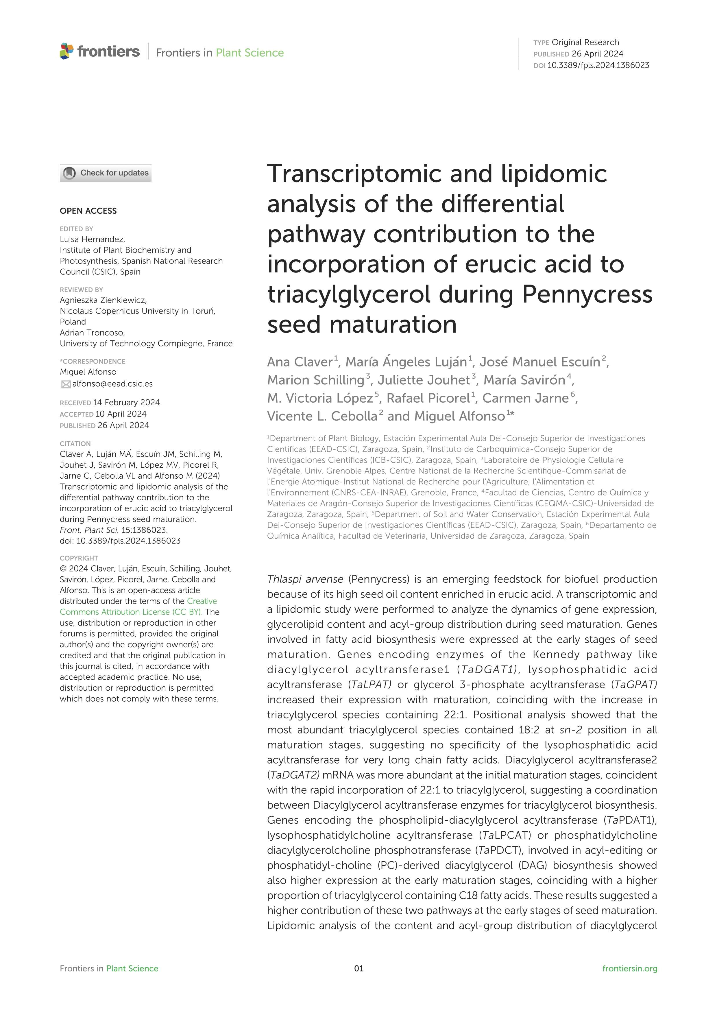 Transcriptomic and lipidomic analysis of the differential pathway contribution to the incorporation of erucic acid to triacylglycerol during Pennycress seed maturation
