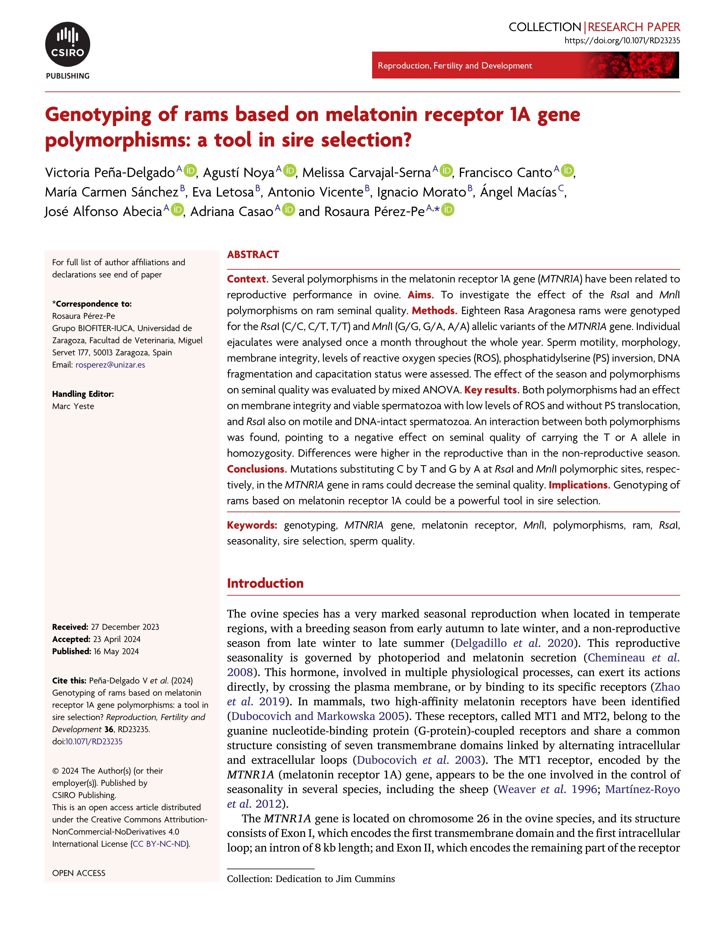 Genotyping of rams based on melatonin receptor 1A gene polymorphisms: a tool in sire selection?