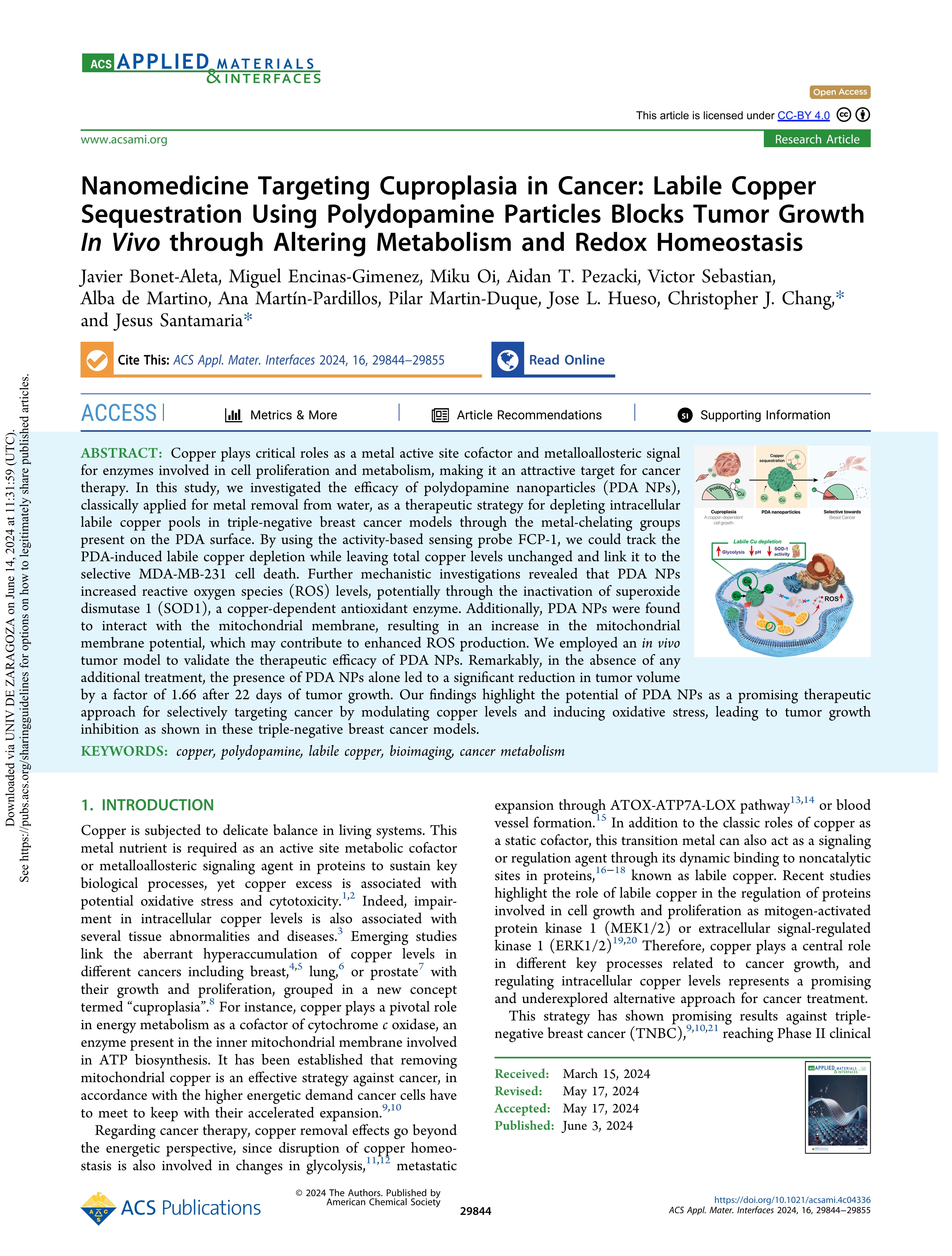 Nanomedicine targeting cuproplasia in cancer: labile copper sequestration using polydopamine particles blocks tumor growth in vivo through altering metabolism and redox homeostasis