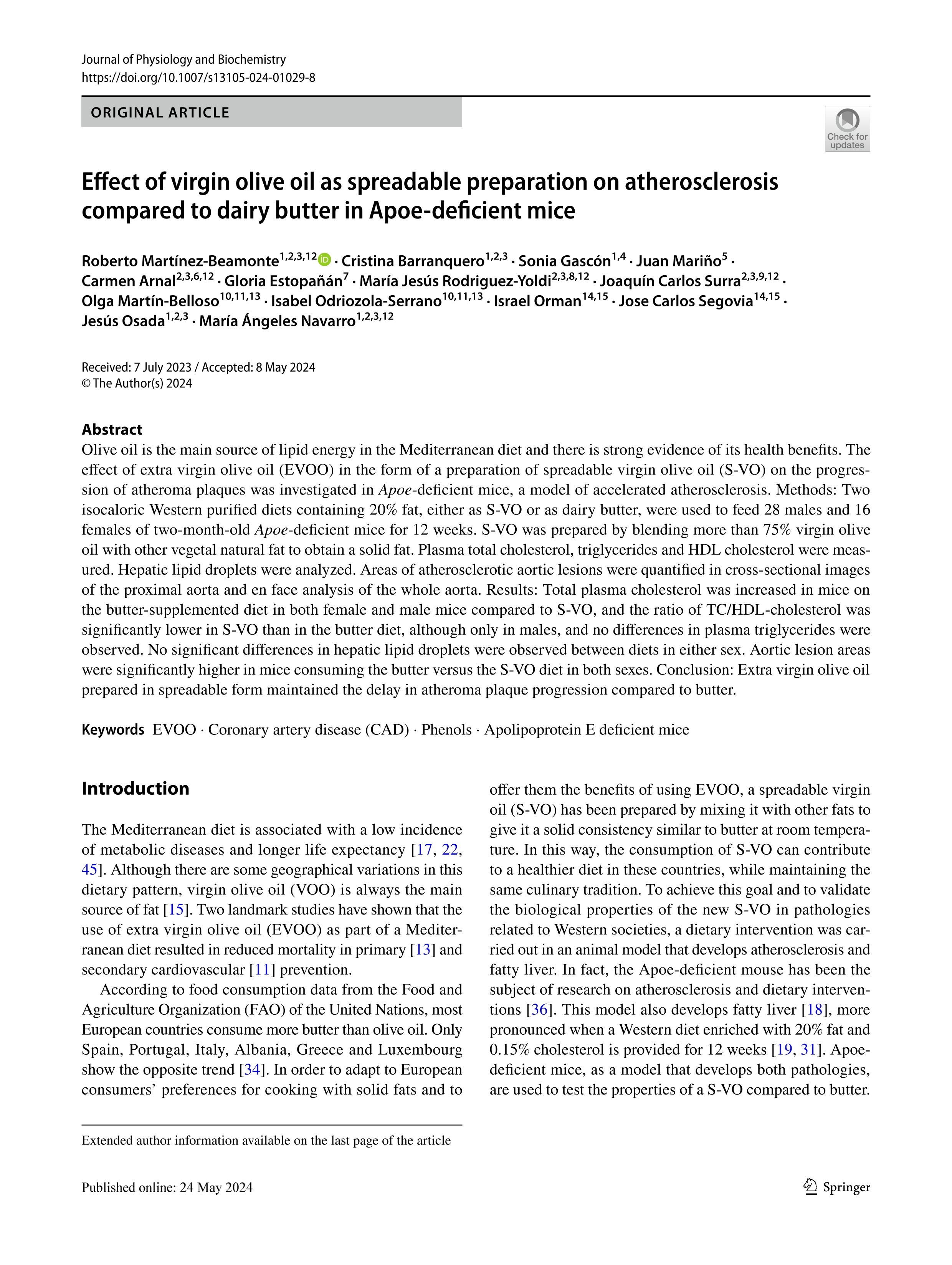 Effect of virgin olive oil as spreadable preparation on atherosclerosis compared to dairy butter in Apoe-deficient mice