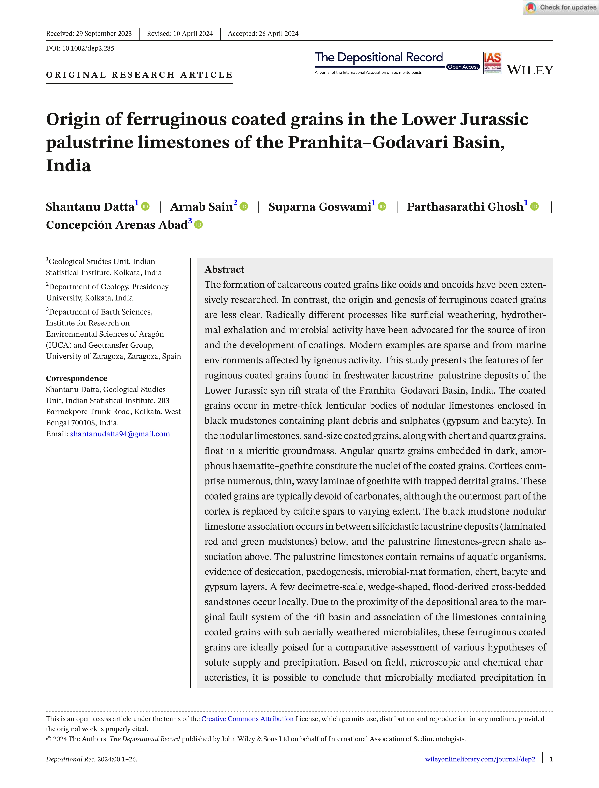 Origin of ferruginous coated grains in the Lower Jurassic palustrine limestones of the Pranhita–Godavari Basin, India