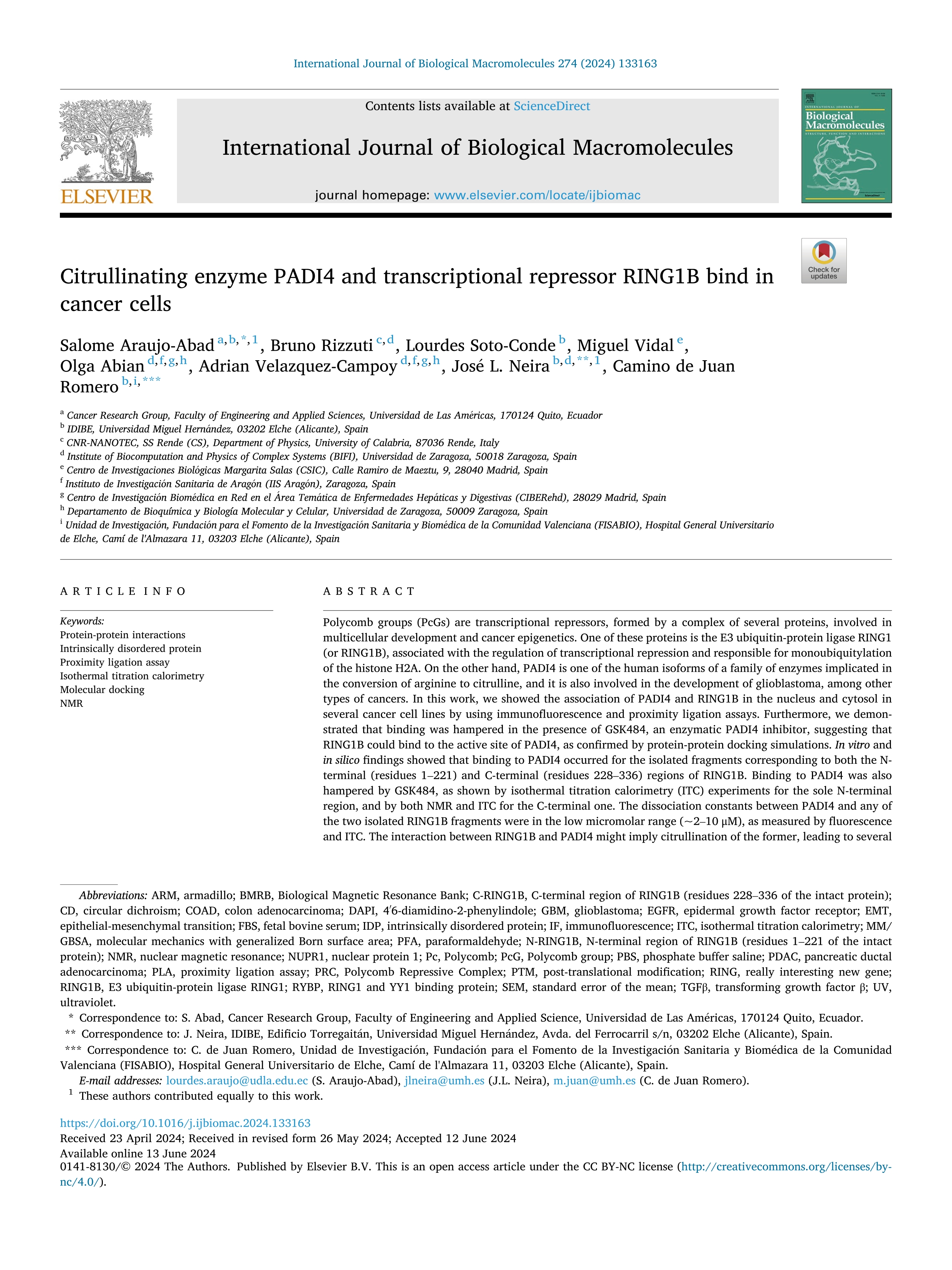 Citrullinating enzyme PADI4 and transcriptional repressor RING1B bind in cancer cells