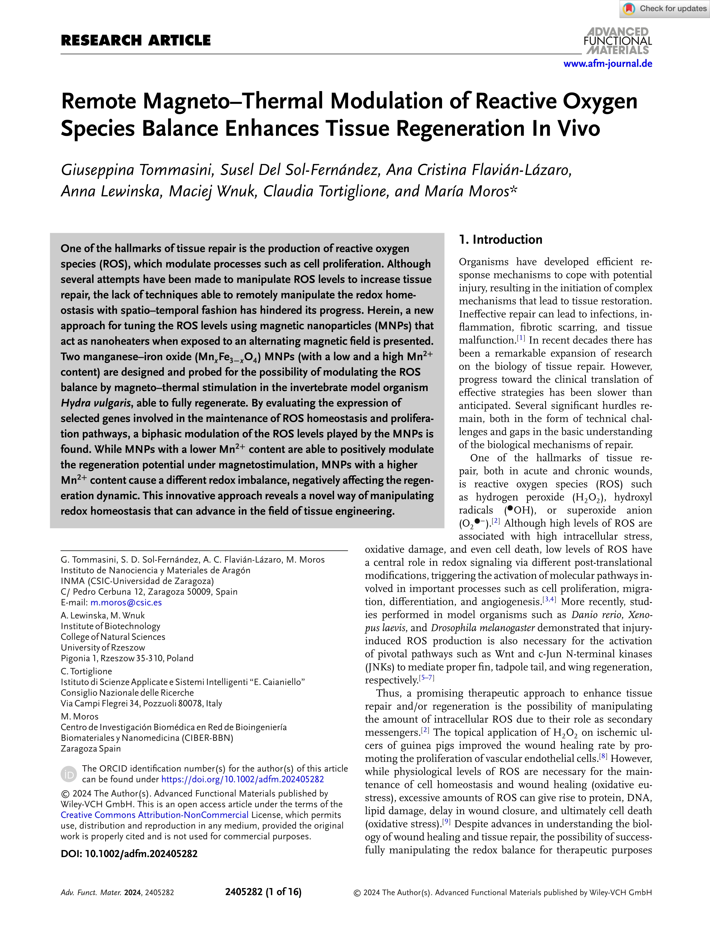 Remote magneto–thermal modulation of reactive oxygen species balance enhances tissue regeneration in vivo