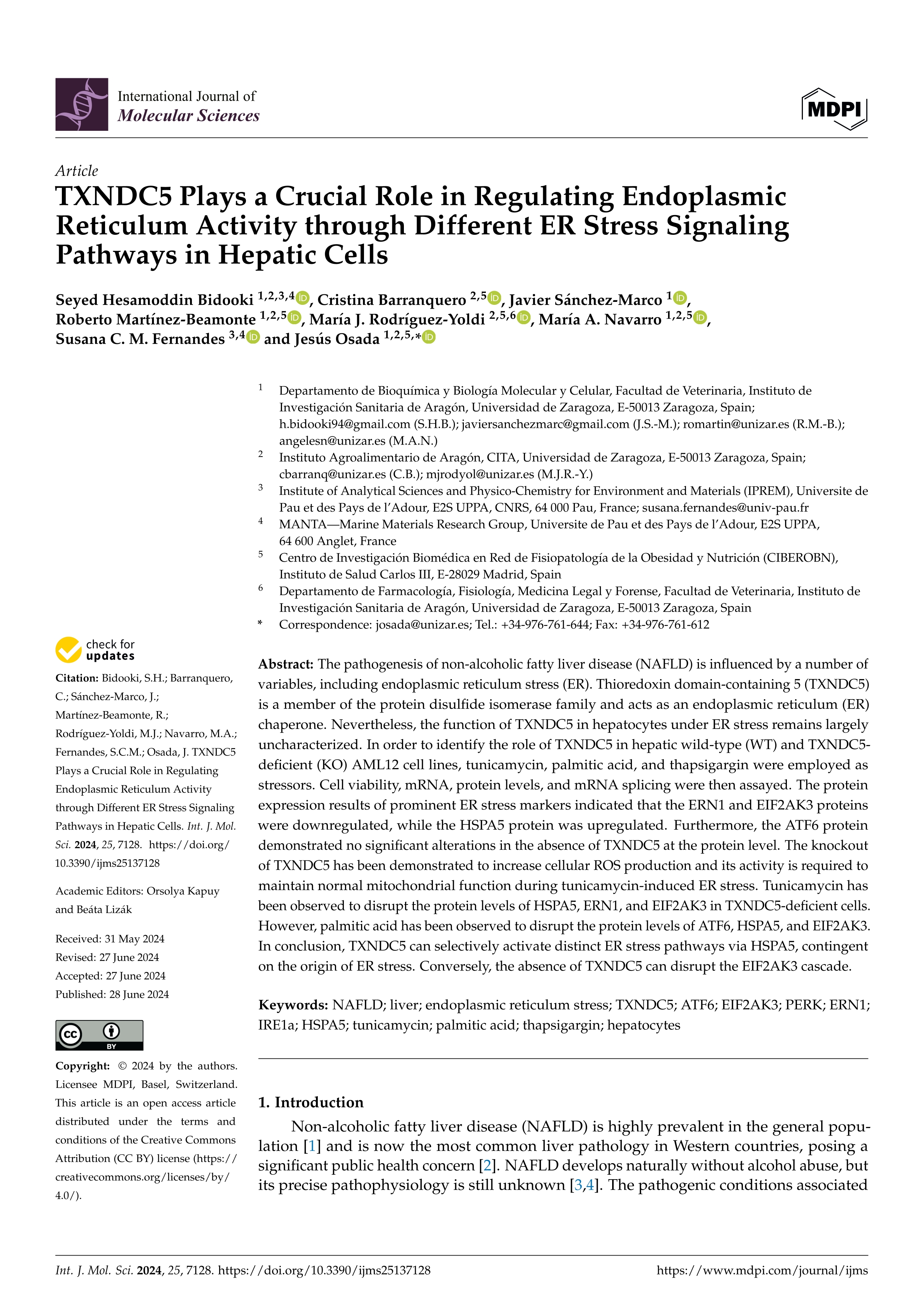 TXNDC5 Plays a Crucial Role in Regulating Endoplasmic Reticulum Activity through Different ER Stress Signaling Pathways in Hepatic Cells