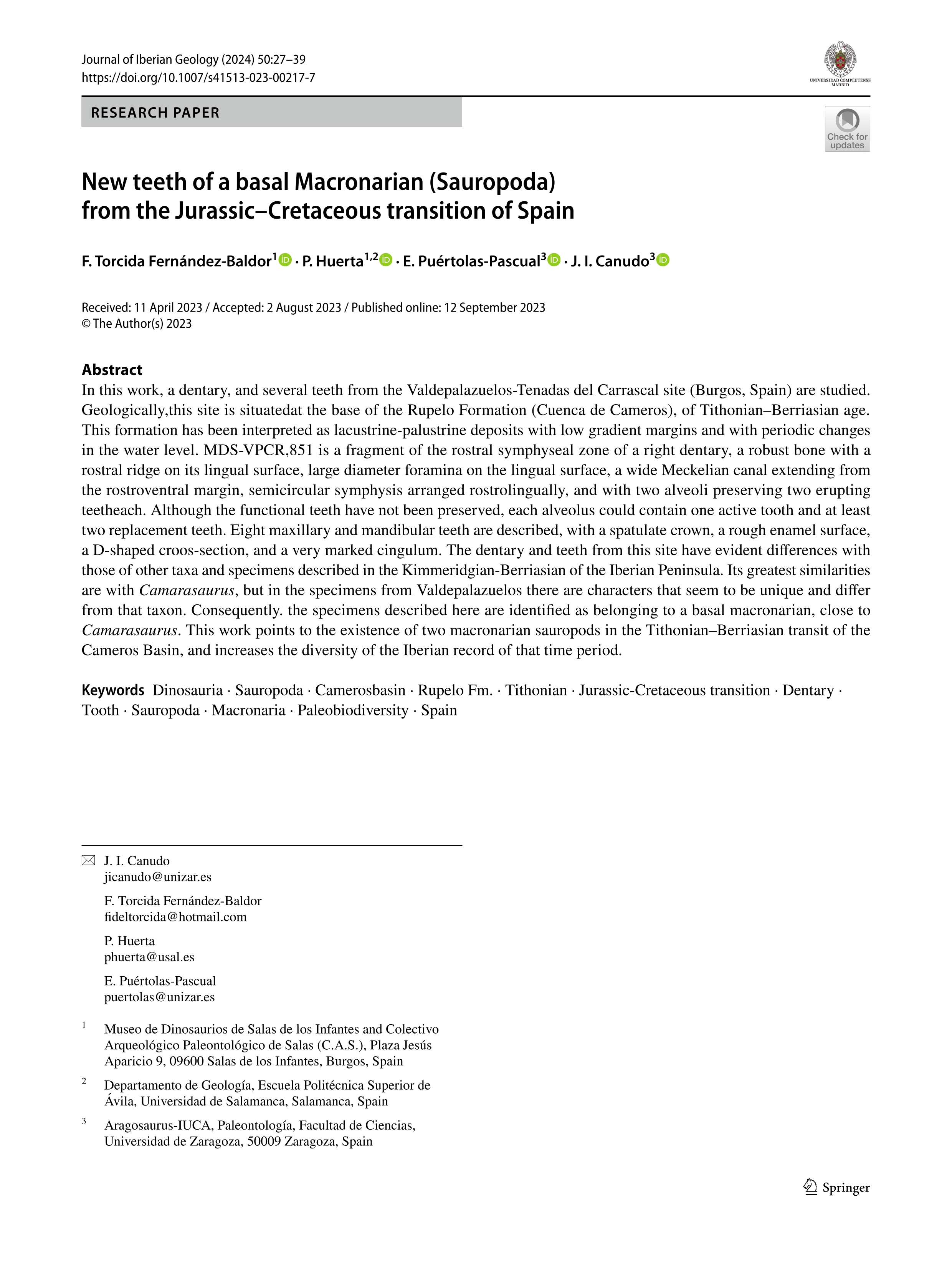 New teeth of a basal Macronarian (Sauropoda) from the Jurassic–Cretaceous transition of Spain