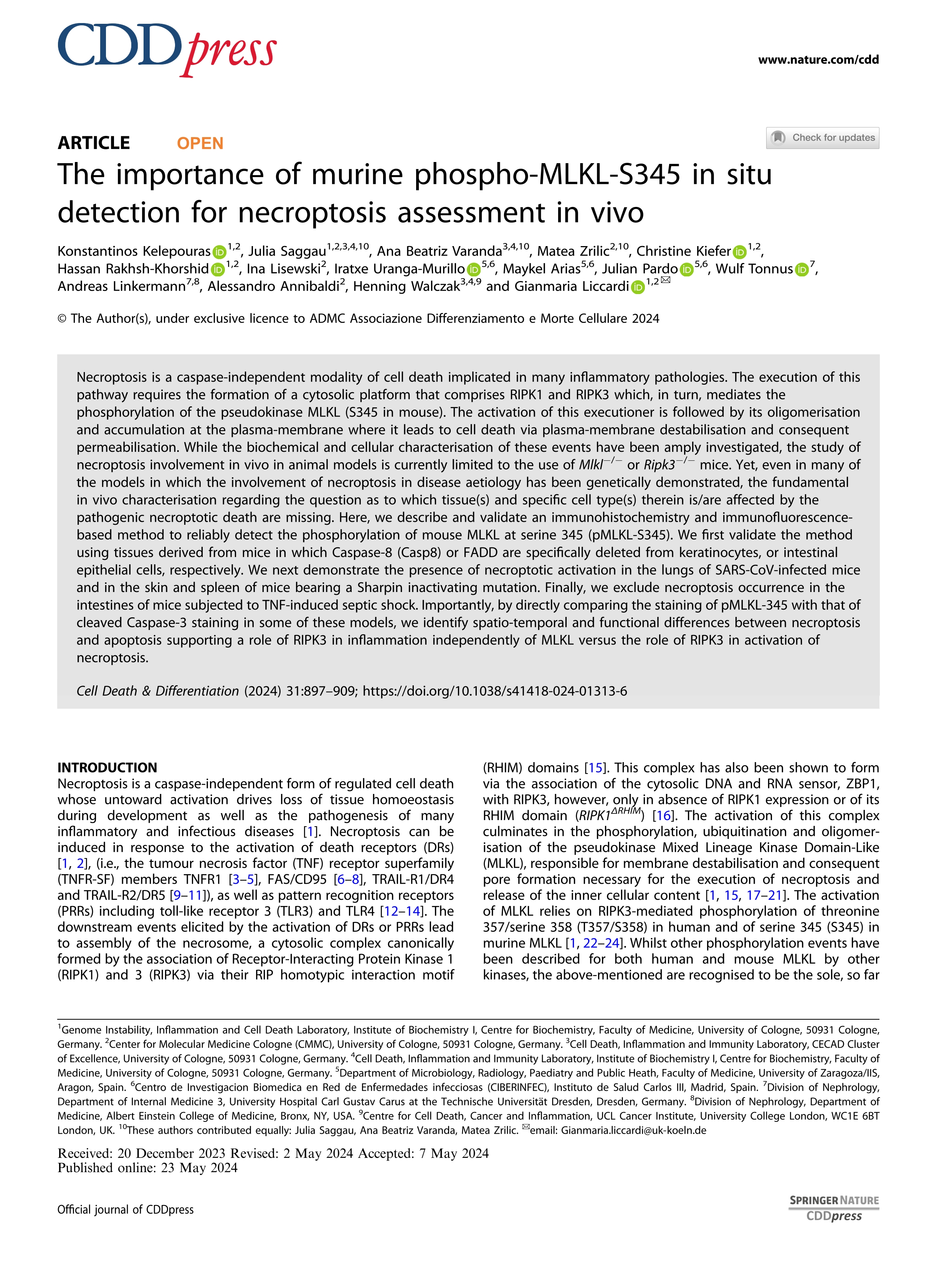 The importance of murine phospho-MLKL-S345 in situ detection for necroptosis assessment in vivo