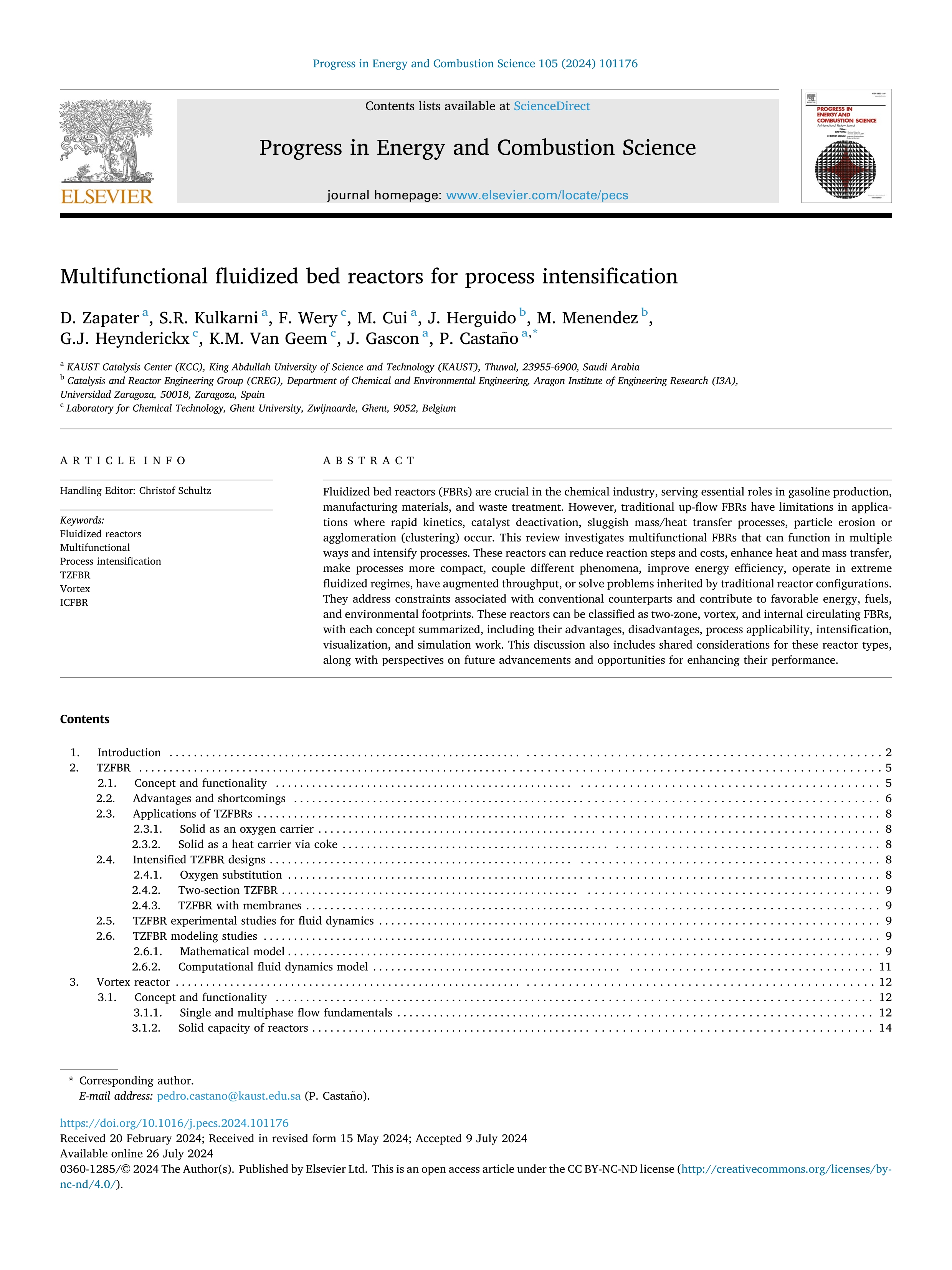 Multifunctional fluidized bed reactors for process intensification