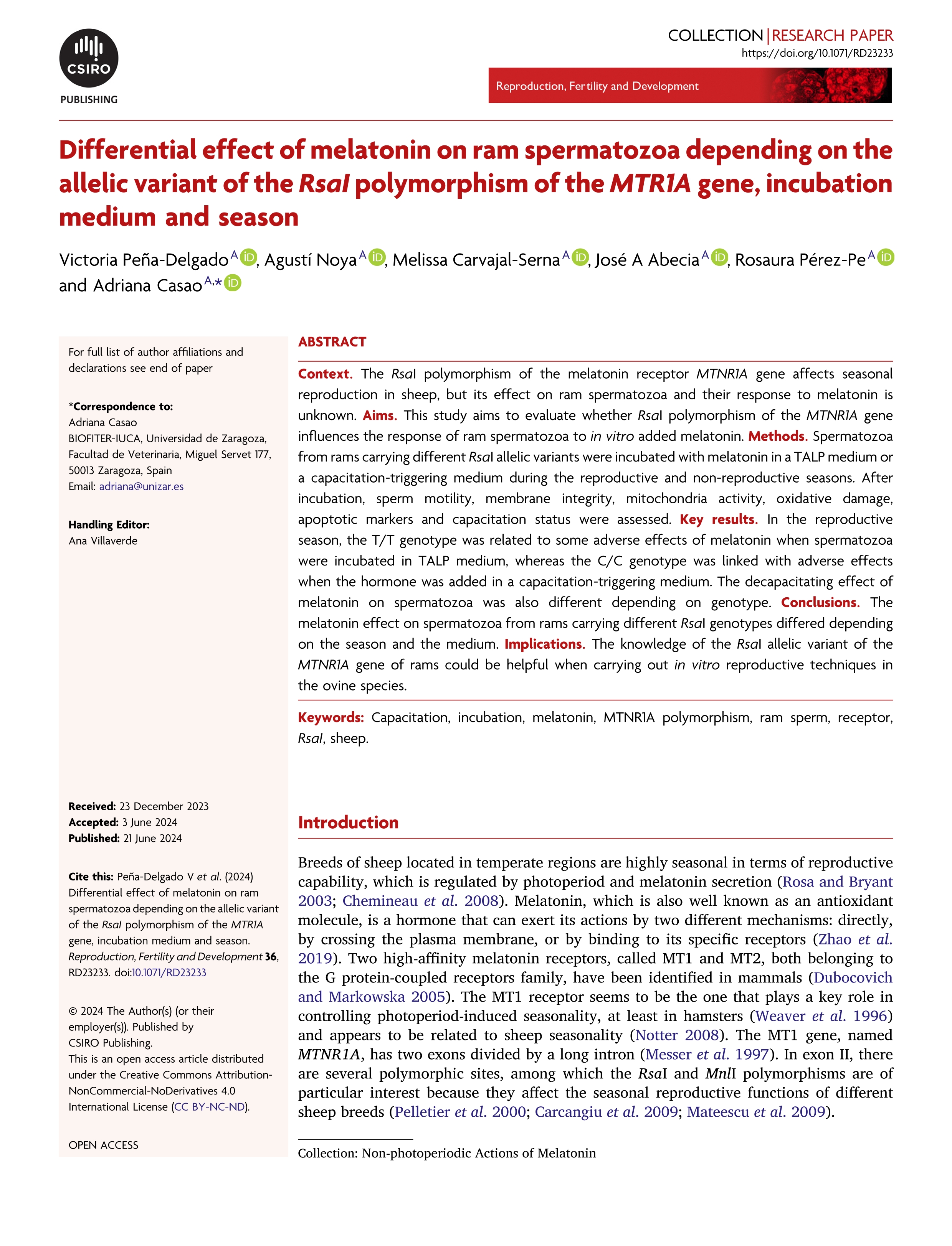 Differential effect of melatonin on ram spermatozoa depending on the allelic variant of the RsaI polymorphism of the MTR1A gene, incubation medium and season