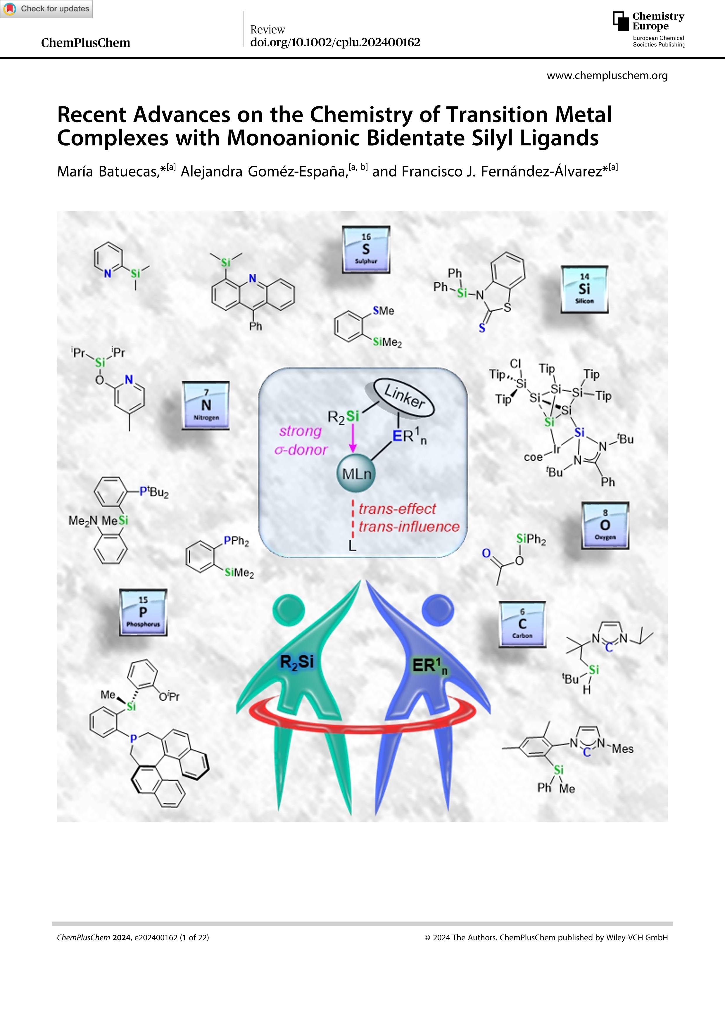 Recent advances on the chemistry of transition metal complexes with monoanionic bidentate silyl ligands