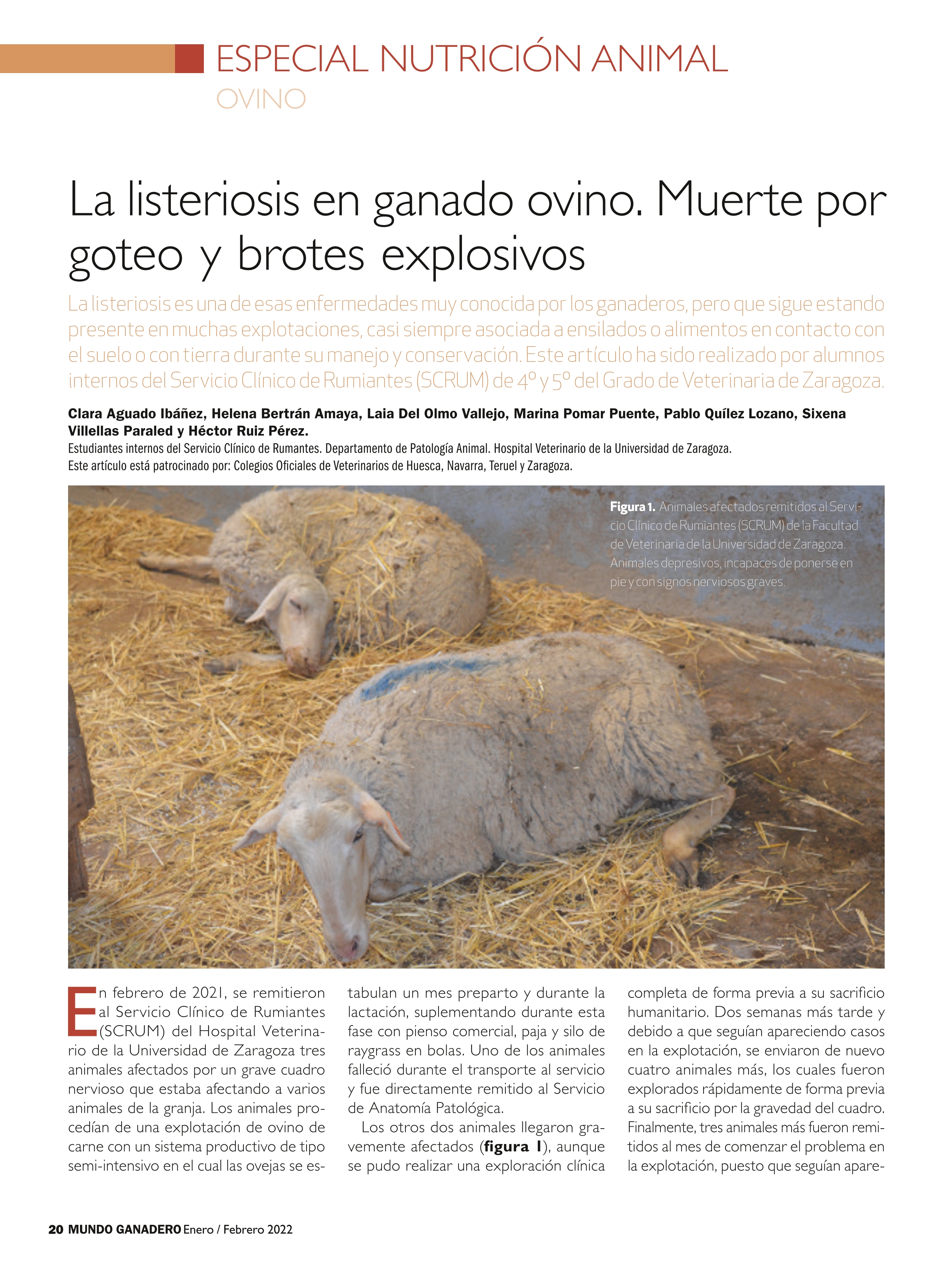 La listeriosis en ganado ovino. Muerte por goteo y brotes explosivos