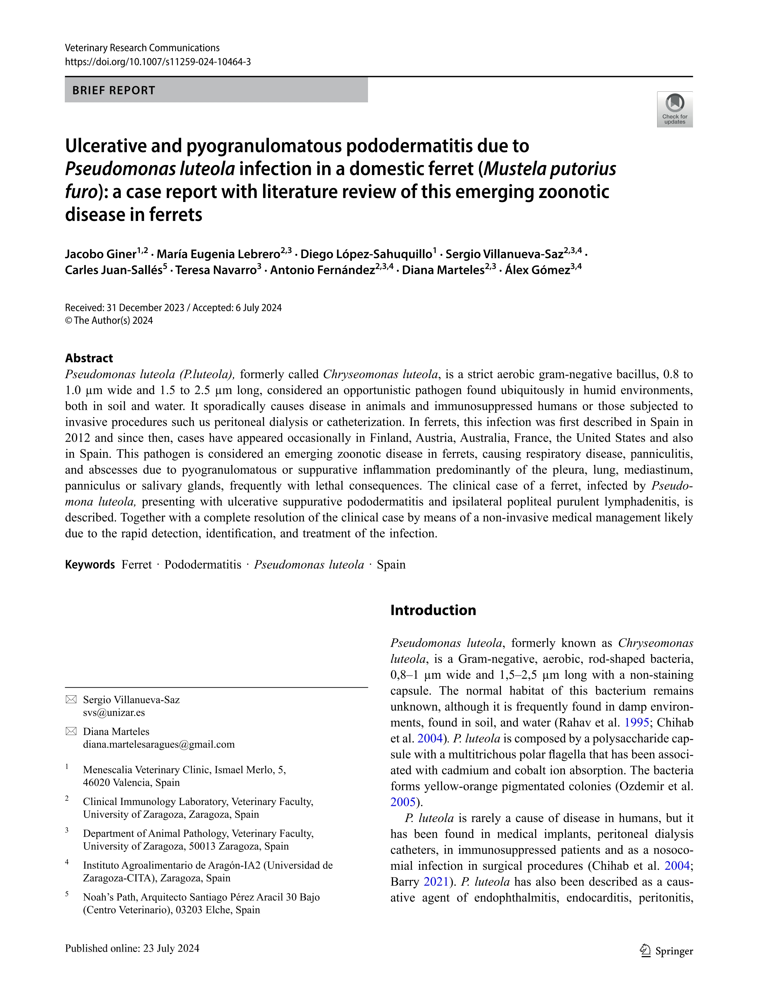Ulcerative and pyogranulomatous pododermatitis due to Pseudomonas luteola infection in a domestic ferret (Mustela putorius furo): a case report with literature review of this emerging zoonotic disease in ferrets
