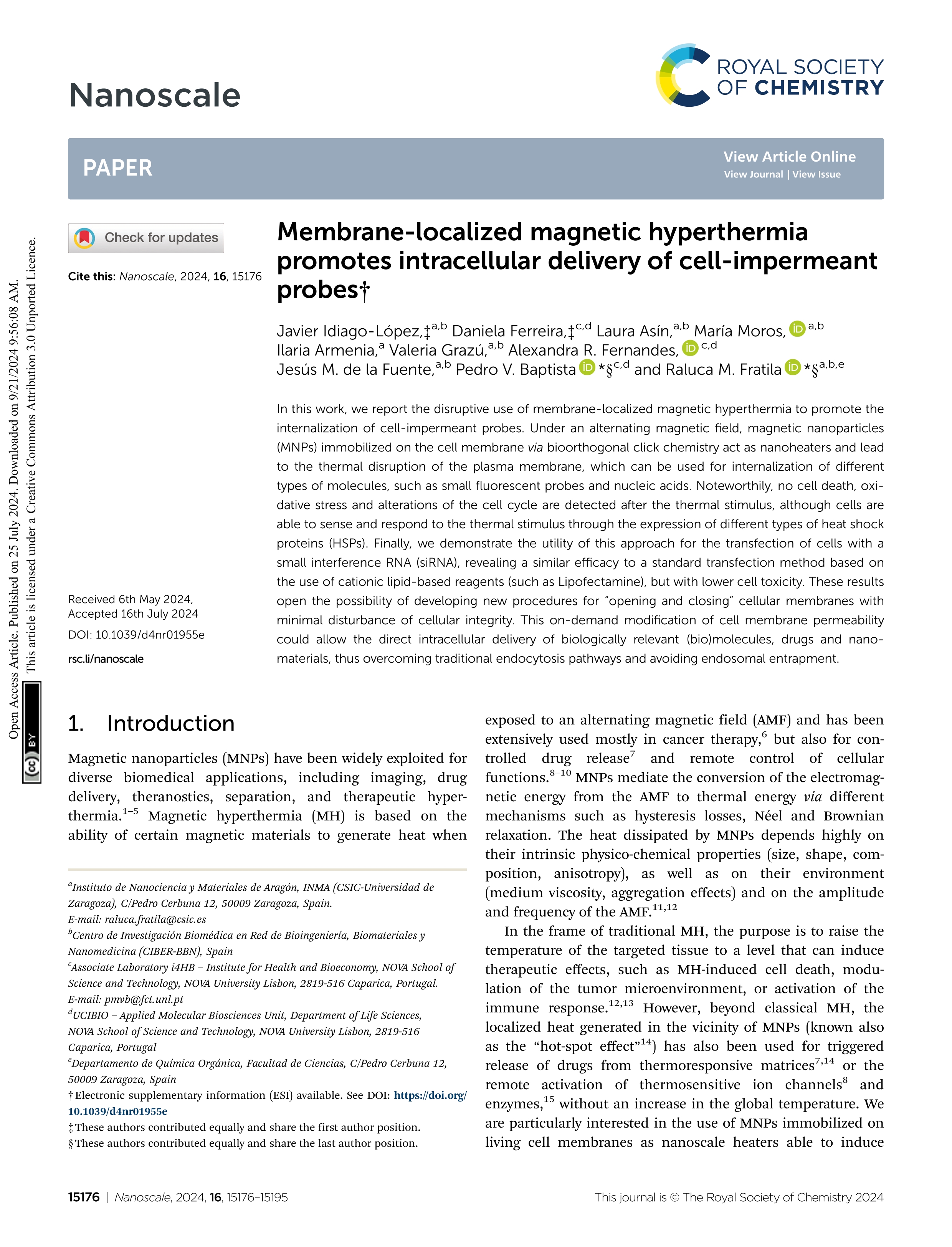 Membrane-localized magnetic hyperthermia promotes intracellular delivery of cell-impermeant probes