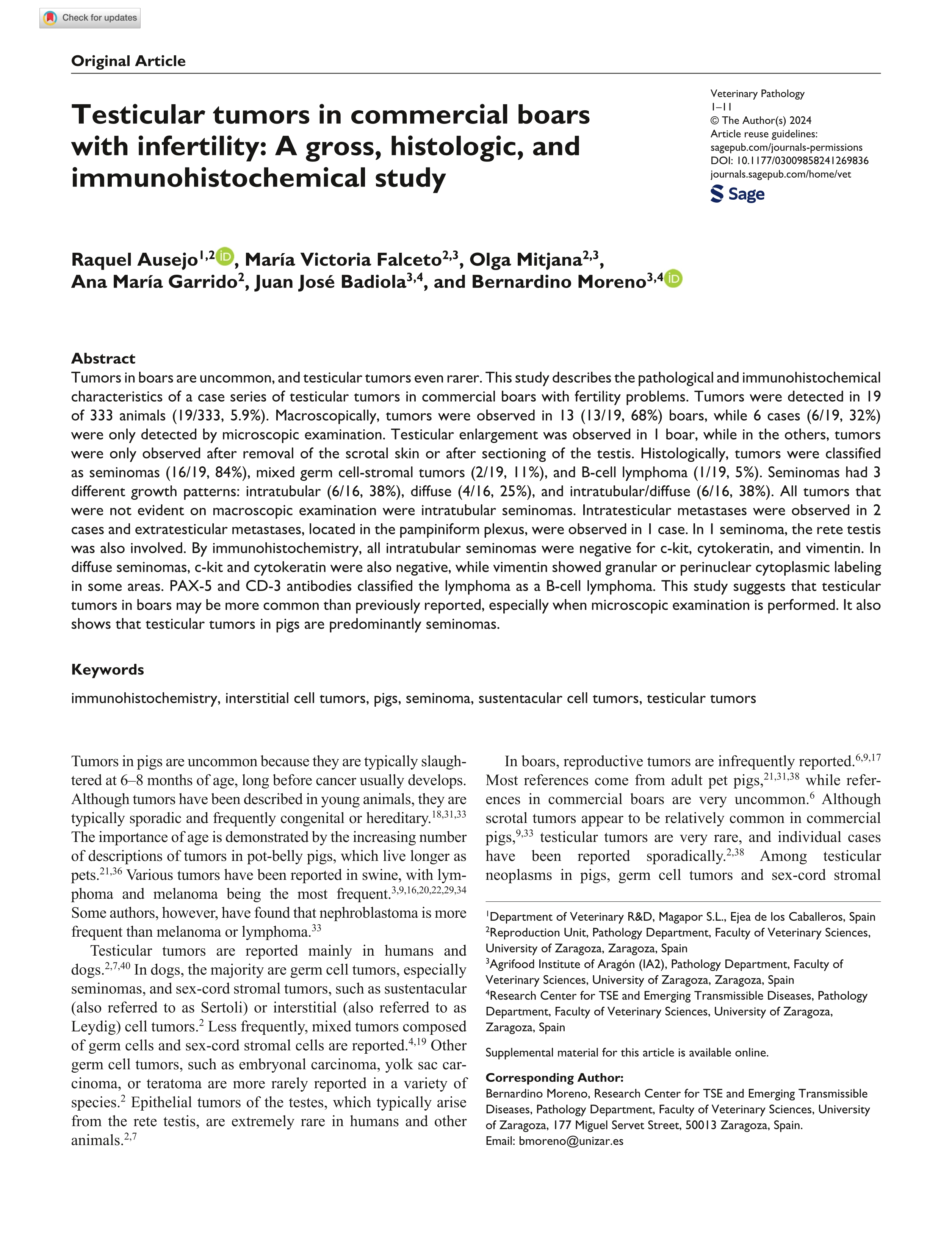 Testicular tumors in commercial boars with infertility: A gross, histologic, and immunohistochemical study