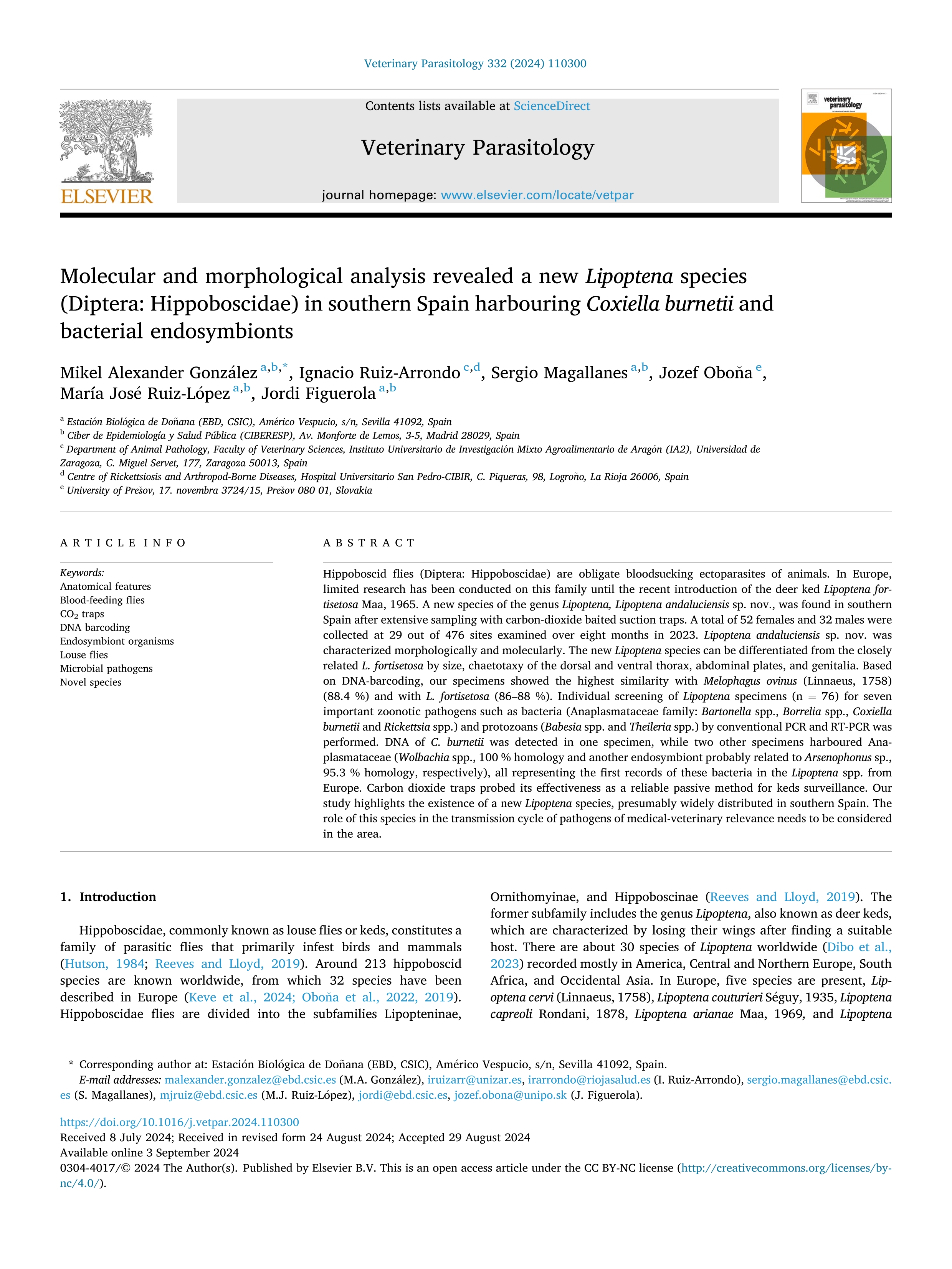 Molecular and morphological analysis revealed a new Lipoptena species (Diptera: Hippoboscidae) in southern Spain harbouring Coxiella burnetii and bacterial endosymbionts