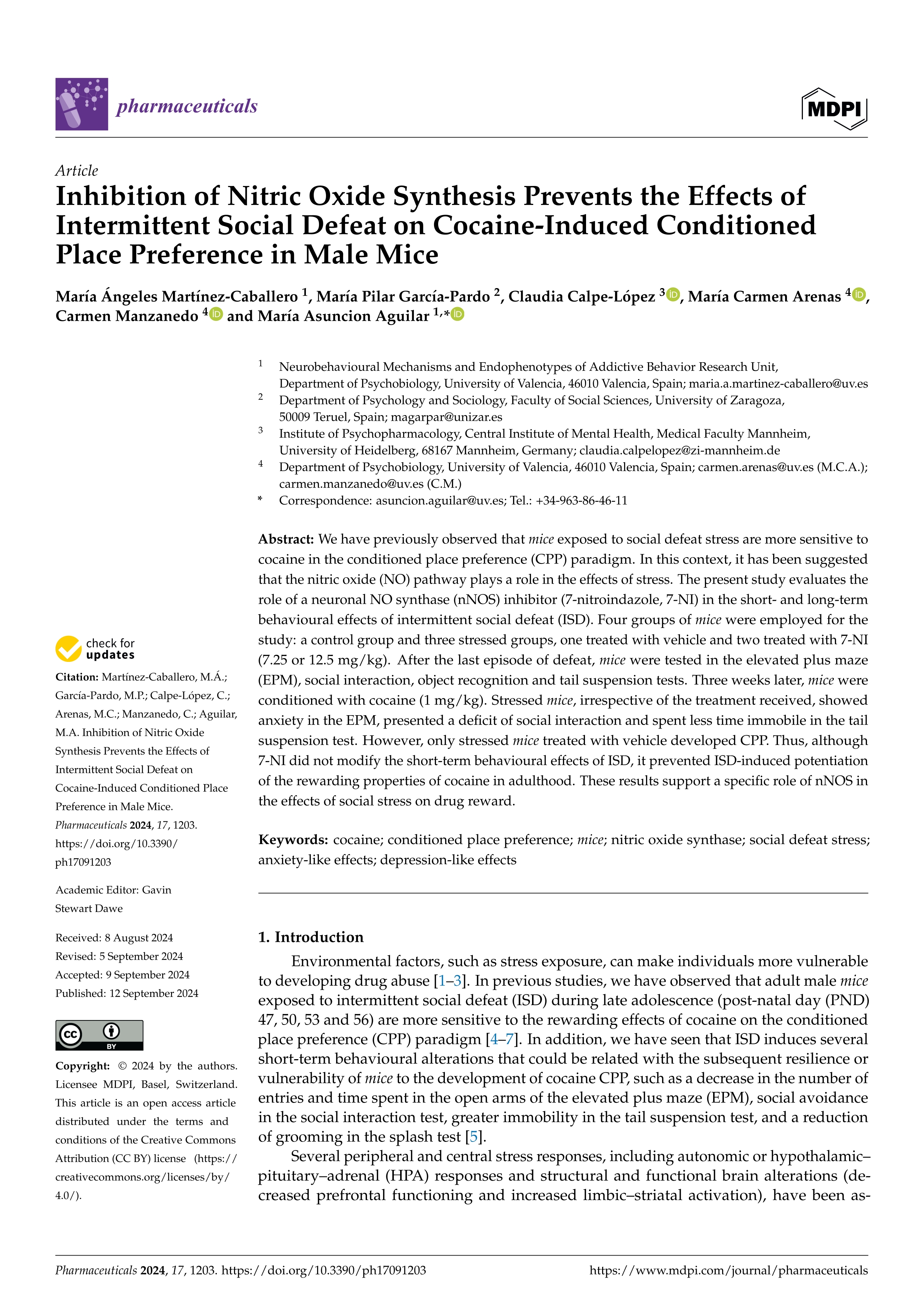 Inhibition of Nitric Oxide Synthesis Prevents the Effects of Intermittent Social Defeat on Cocaine-Induced Conditioned Place Preference in Male Mice